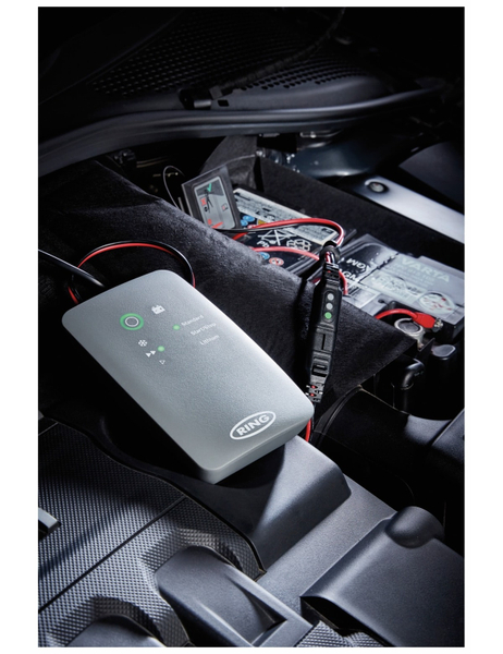 RING AUTOMOTIVE Batterie-Überwachungsstecker RSCBM, für Ladegeräte Serie 700 - Produktbild 2