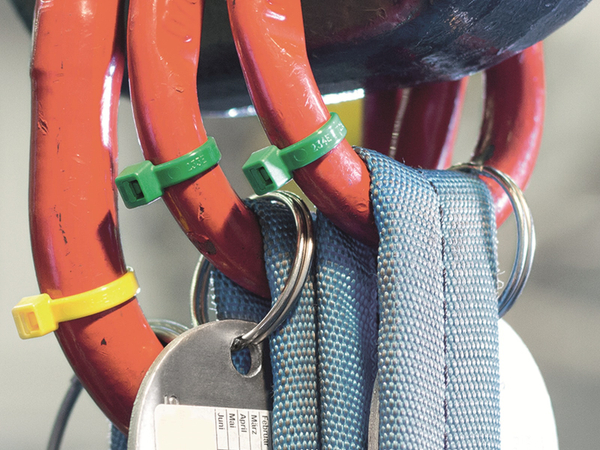 HELLERMANNTYTON Kabelbinder innenverzahnt, 116-08012, 210x4, rot, 100 Stück - Produktbild 4