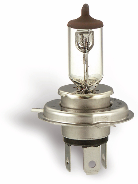 Halogen-Lampe, 12V, P43t