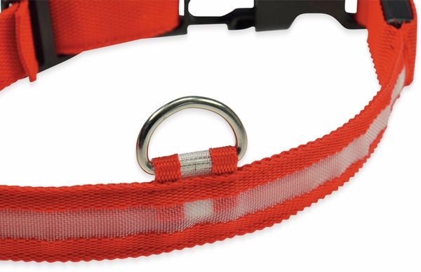 CHILITEC Hunde-Halsband Größe M, rot, mit LED-Licht - Produktbild 5