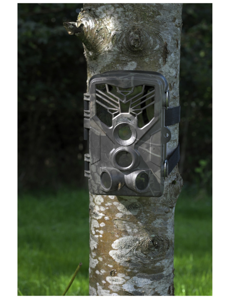 DENVER Wildkamera WCT-8020WDE, 8 MP, WLAN, IP65 - Produktbild 6