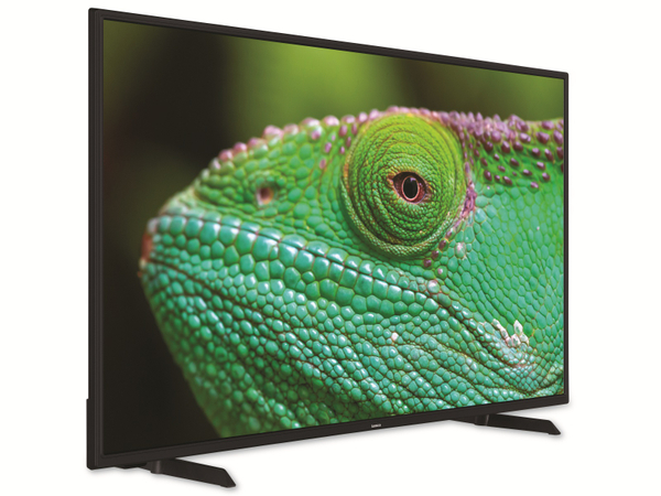 LENCO LED-TV LED-4353BK, 109 cm (43&quot;), EEK: G, 16:9 Bildschirm, DVB-T/T2/S2/C - Produktbild 5