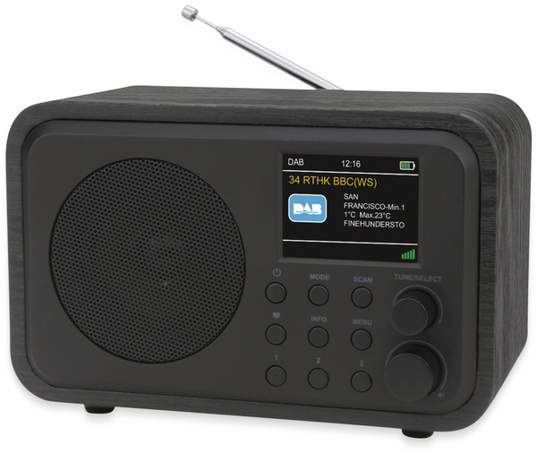UNIVERSUM DAB+ Radio DR 300-20, Akku, Bluetooth, schwarz