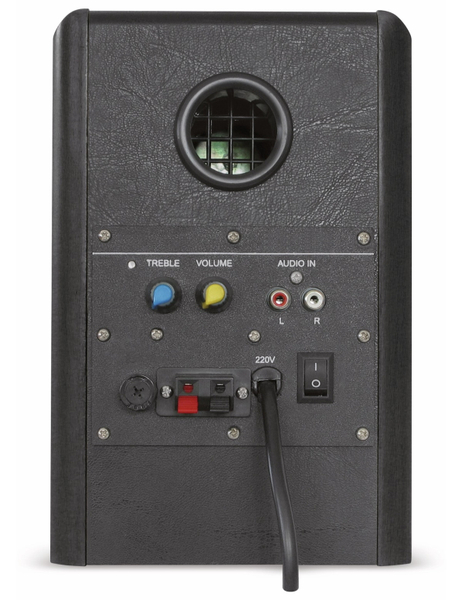 Dynavox Aktiv-Lautsprecher TG-1000M, 2x 30 W schwarz - Produktbild 3