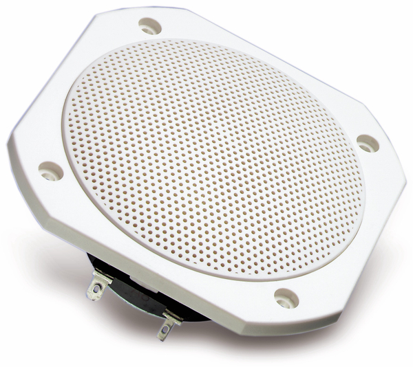 VISATON Breitband-Lautsprecher, FRS 10 WP, 4 Ohm, weiß