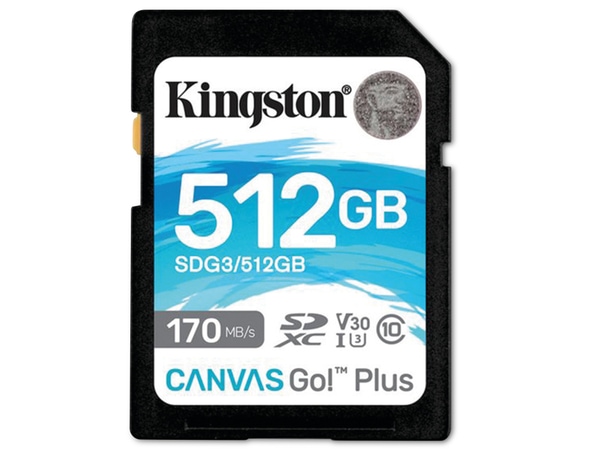 KINGSTON SD-Card Canvas GO!, 512 GB