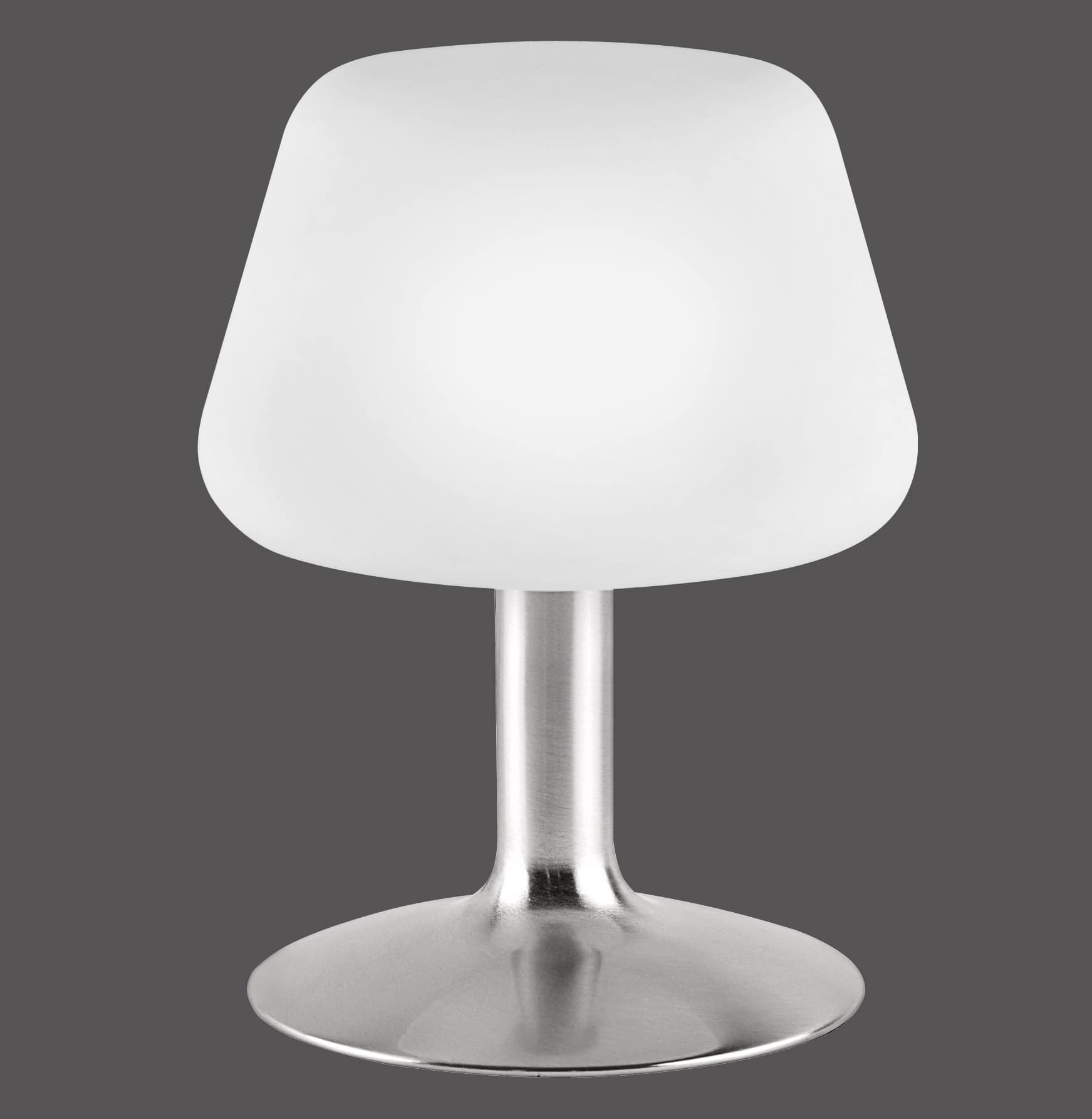 PAUL NEUHAUS LED-Tischleuchte 4078-55 stahl, 2,6 W, 265 lm, 3000 K PAUL NEUHAUS LED-Tischleuchte 4078-55 stahl, 2,6 W, 265 lm, 3000 K