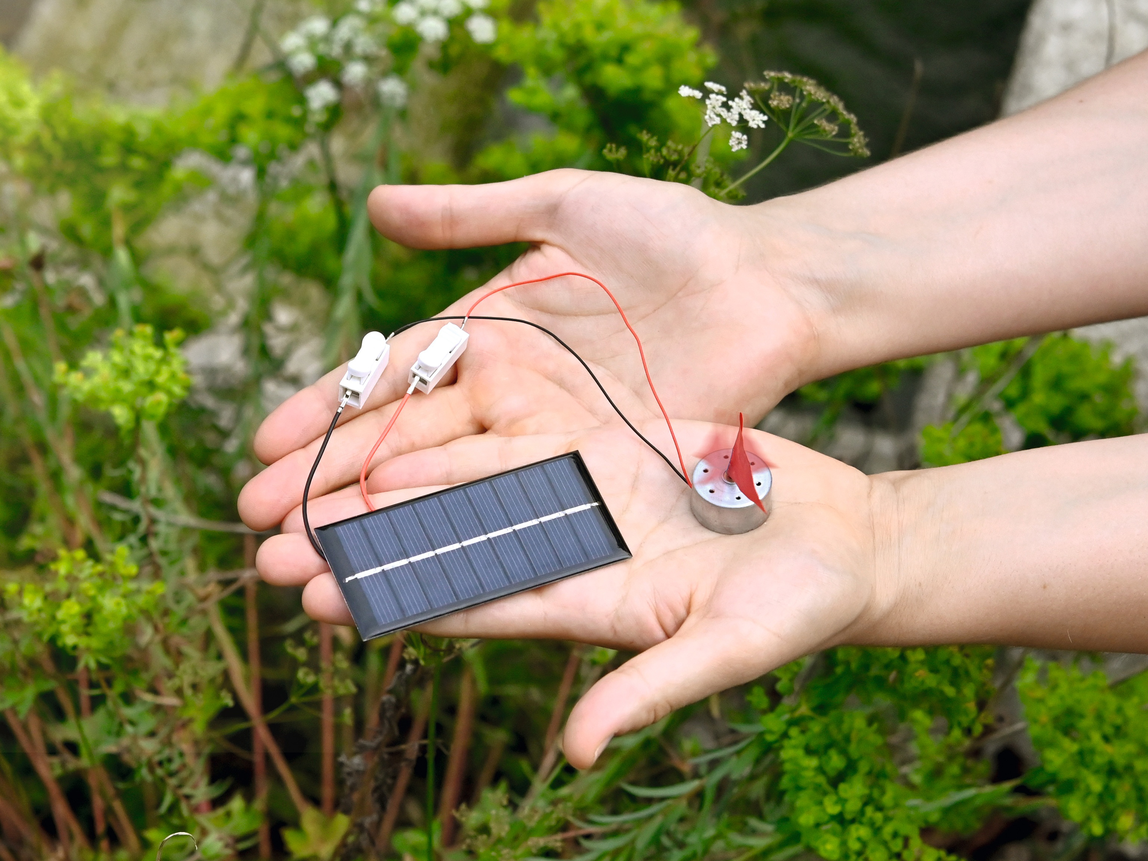 FRANZIS GEOlino Erneuerbare Energien