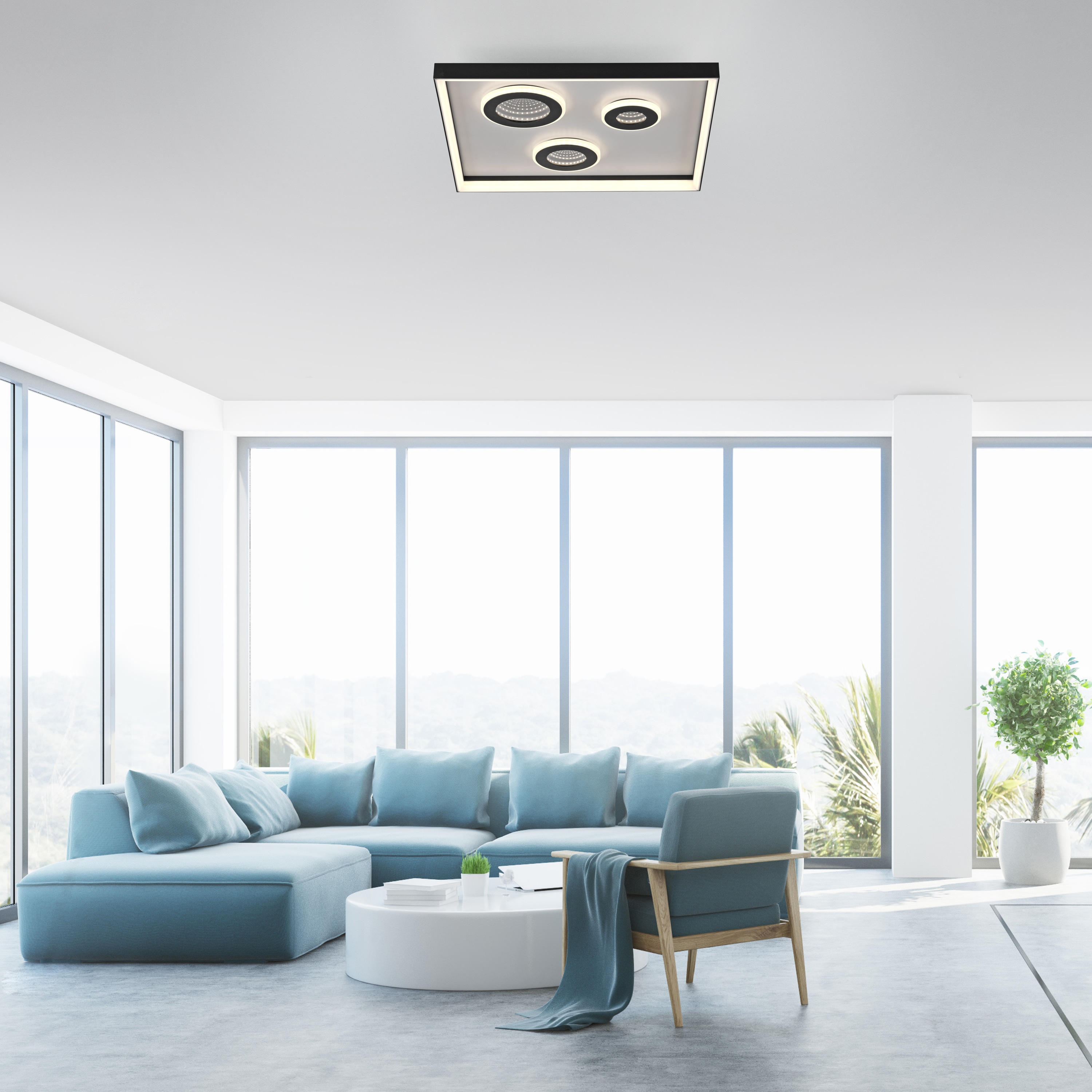 PAUL NEUHAUS LED-Deckenleuchte 6856-18 schwarz, 32 W, 4000 lm, CCT, Fernbedienung