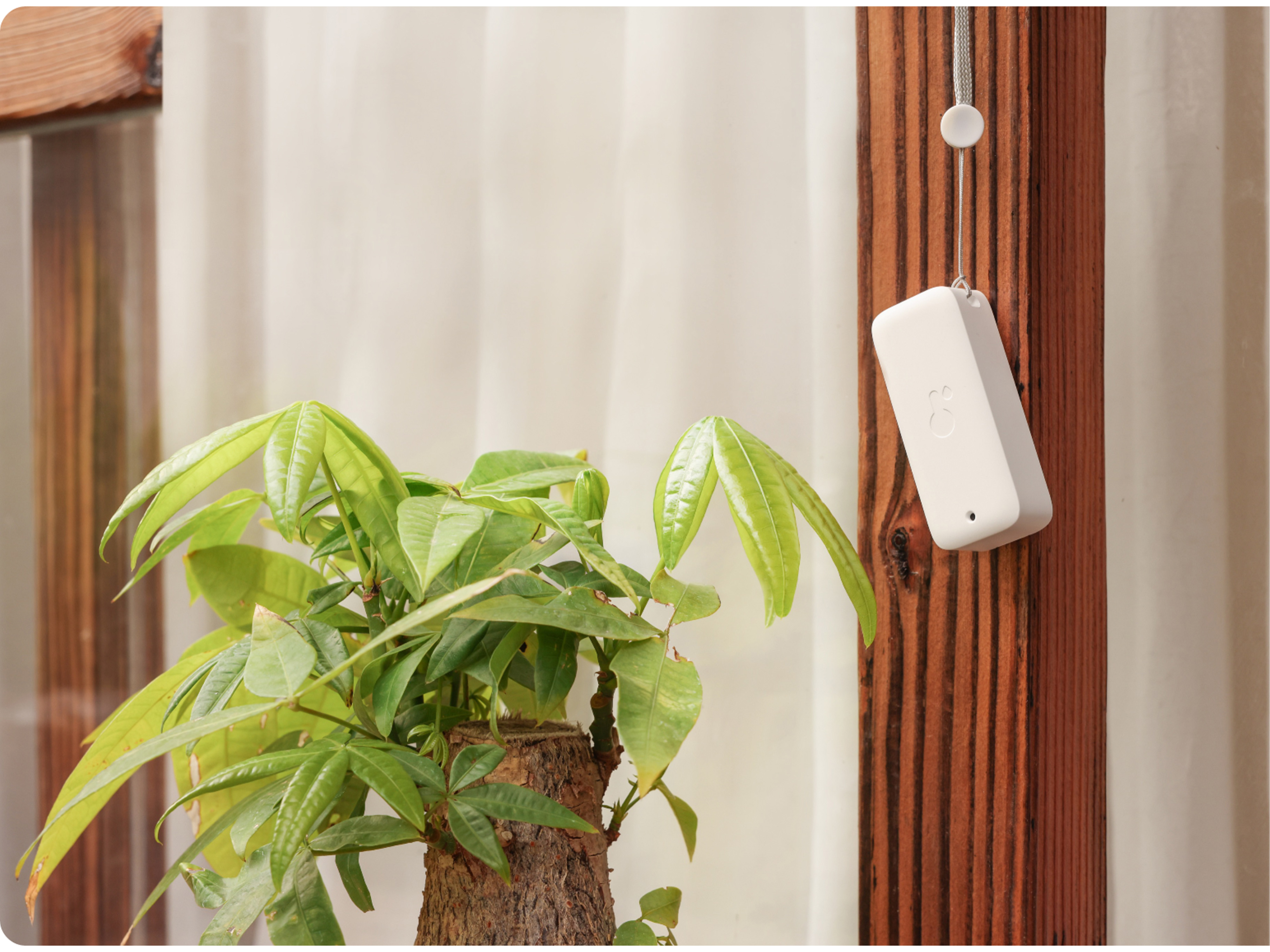 SWITCHBOT Thermometer Outdoor Meter, Innen/Außen, IP65, weiß