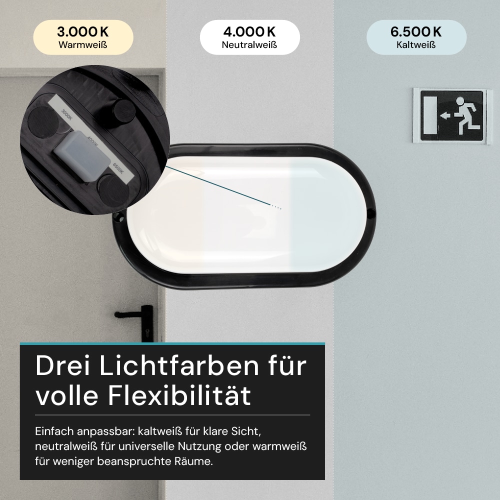 LUXULA LED-Kellerleuchte, 12W, EEK: F, 1080lm, CCT, IP54, schwarz