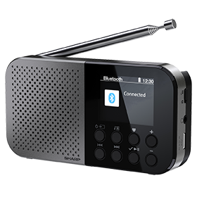 DAB-UKW-Radios-Icon