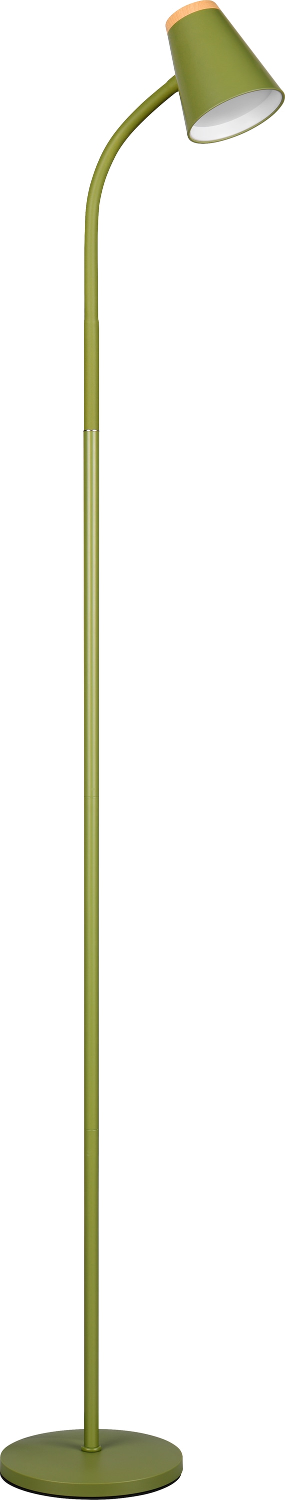 REALITY LED-Stehleuchte PONGO, R45831115, 4,5W, 500lm, 3000K, grün