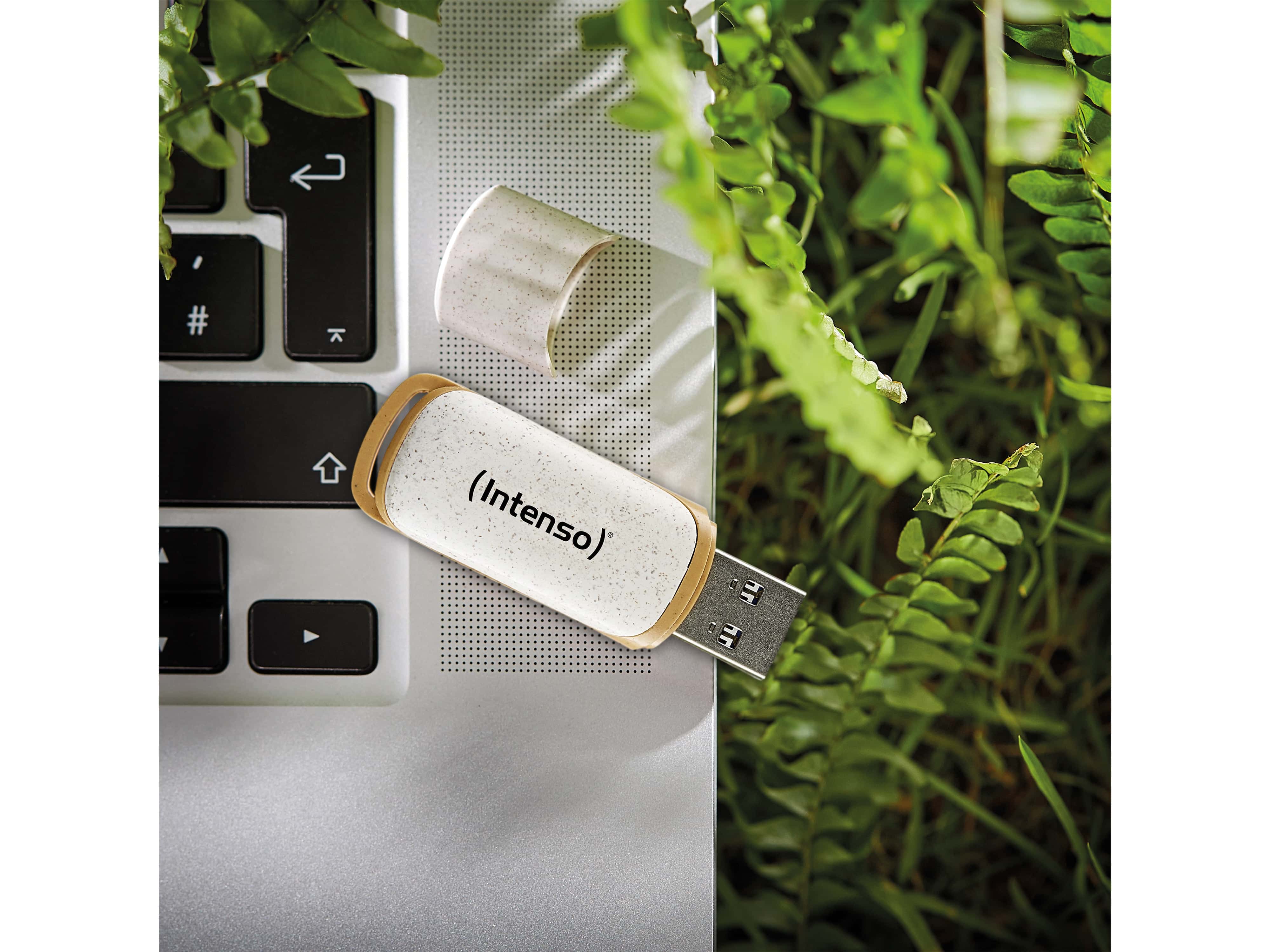 INTENSO USB-Stick Green Line 3540491 USB 3.2 128GB INTENSO USB 3.2-Stick INTENSO Green Line, 128 GB, beige/braun