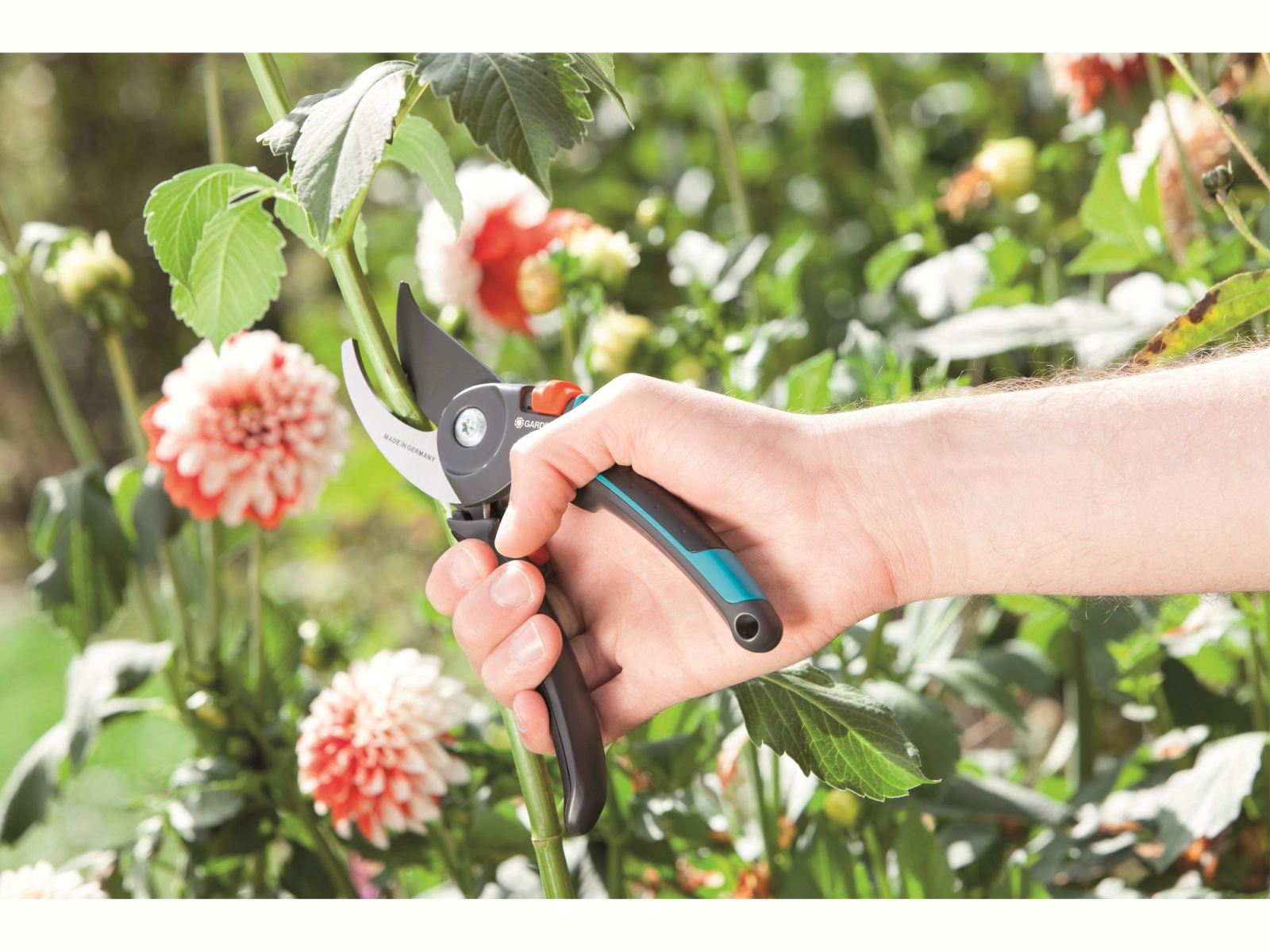 GARDENA Gartenschere B/M 8904-20, Bypass GARDENA Gartenschere B/M 8904-20, Bypass