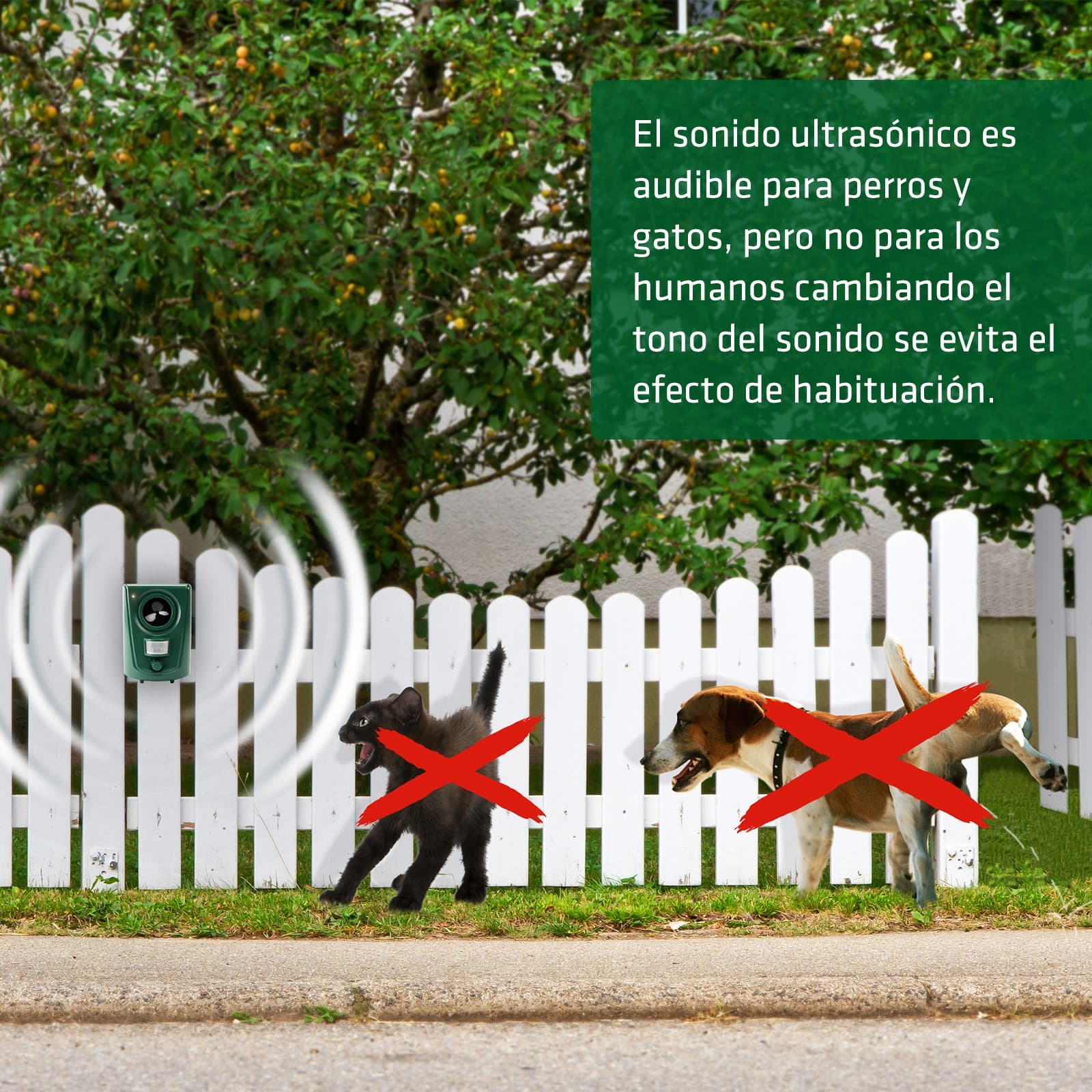 GARDIGO Hunde-Katzenabwehr 60011INT