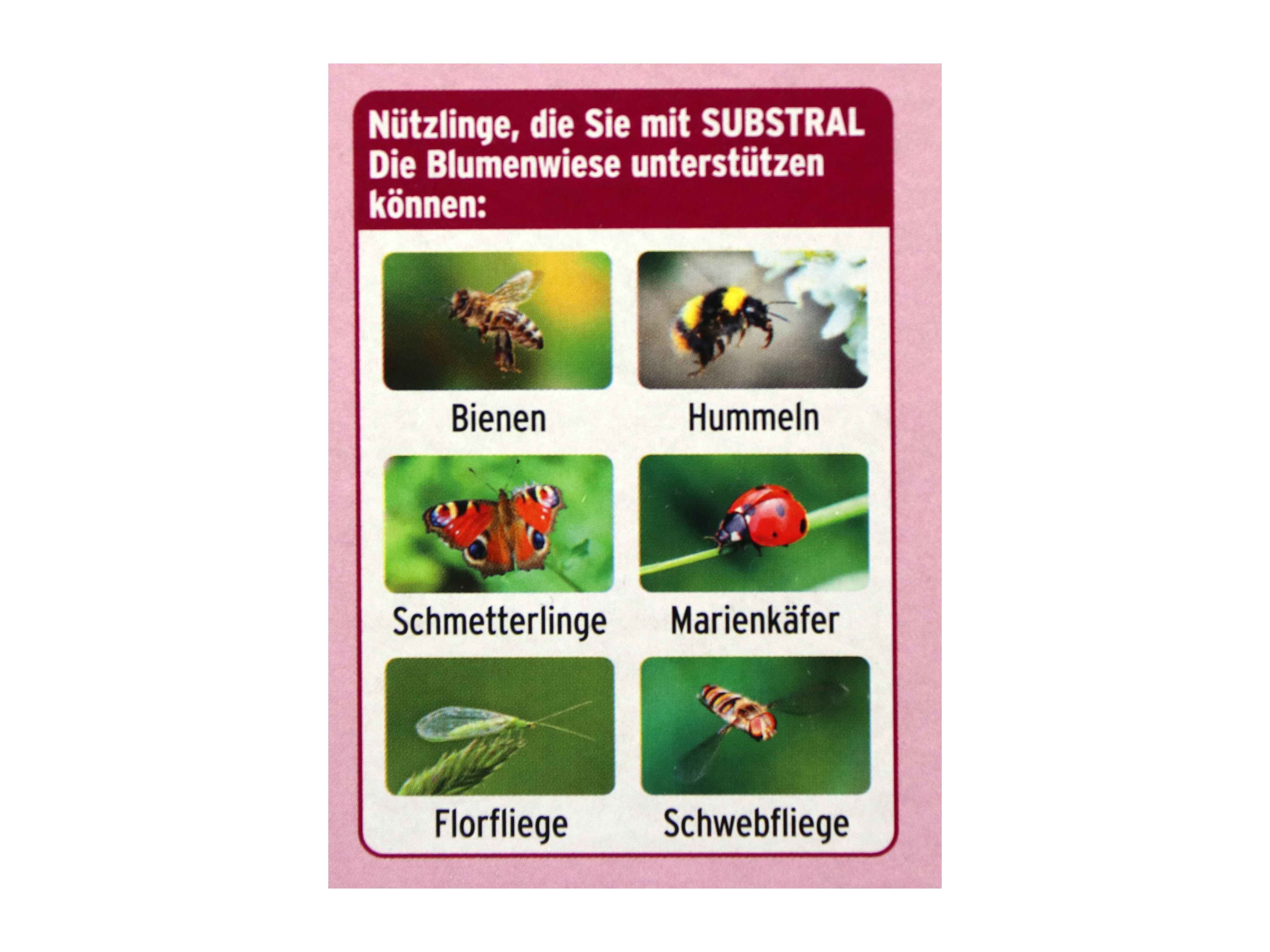 SUBSTRAL Saatmischung Blumenwiese, 800 g, für bis zu 80 m²