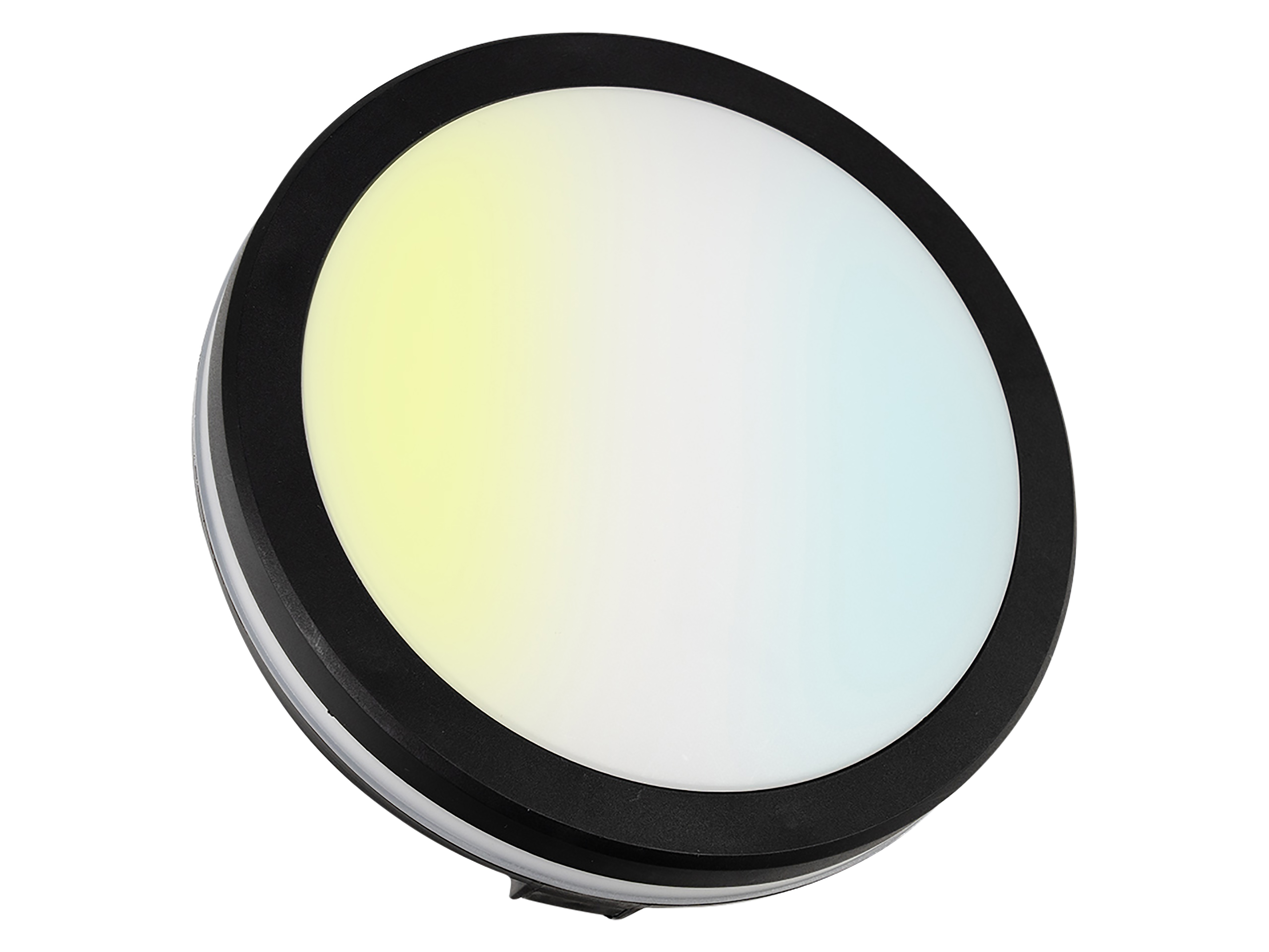 LUXULA LED-Deckenleuchte, 30W, EEK: F, 3000lm, CCT, IP65, schwarz/weiß