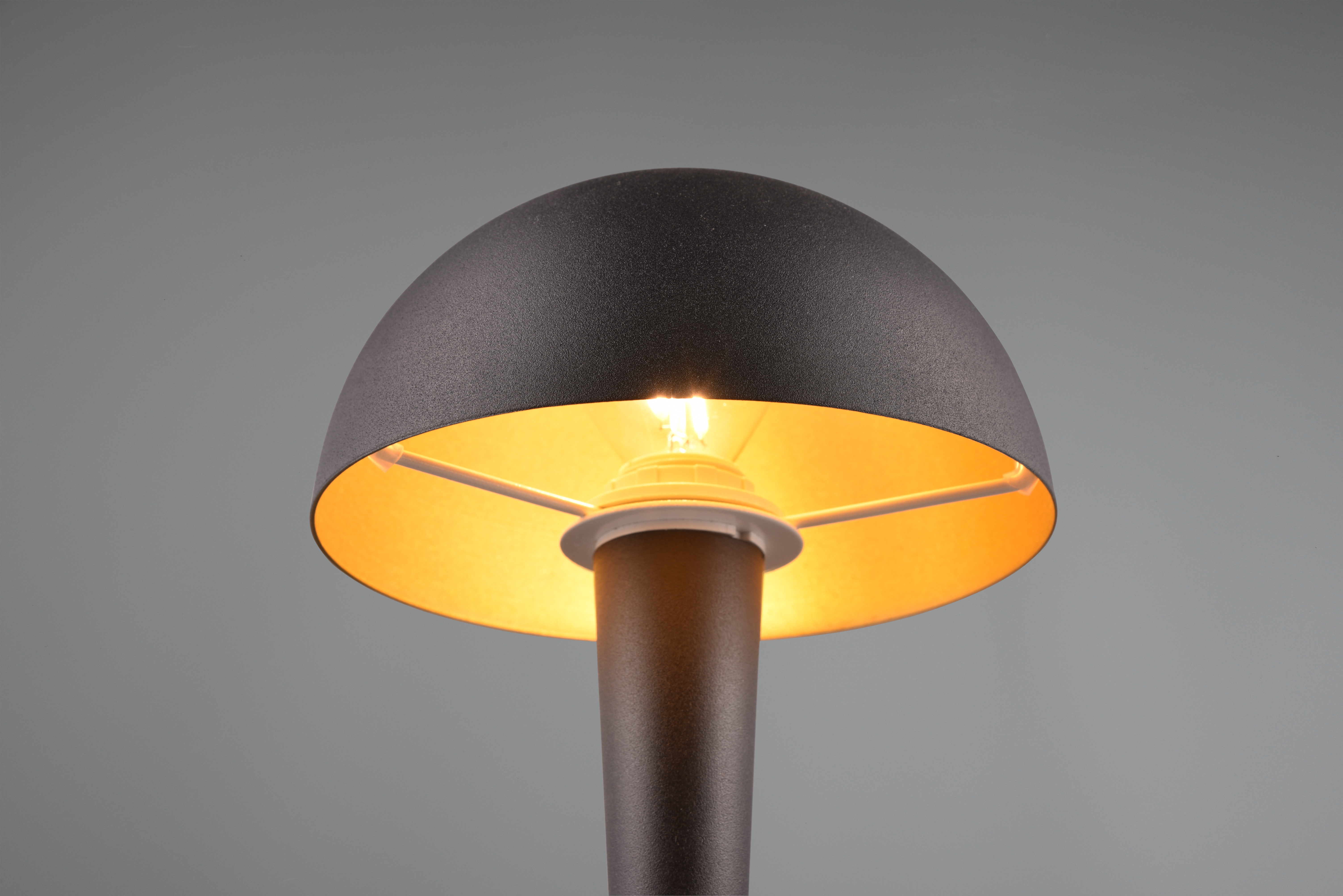 REALITY LED-Tischleuchte Canaria R59561180 schwarz-gold, E14, 4,9 W, 470 lm, 3000 K REALITY LED-Tischleuchte Canaria R59561180 schwarz-gold, E14, 4,9 W, 470 lm, 3000 K