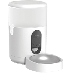 Hunde-Katzen Hunde-Katzen-Icon