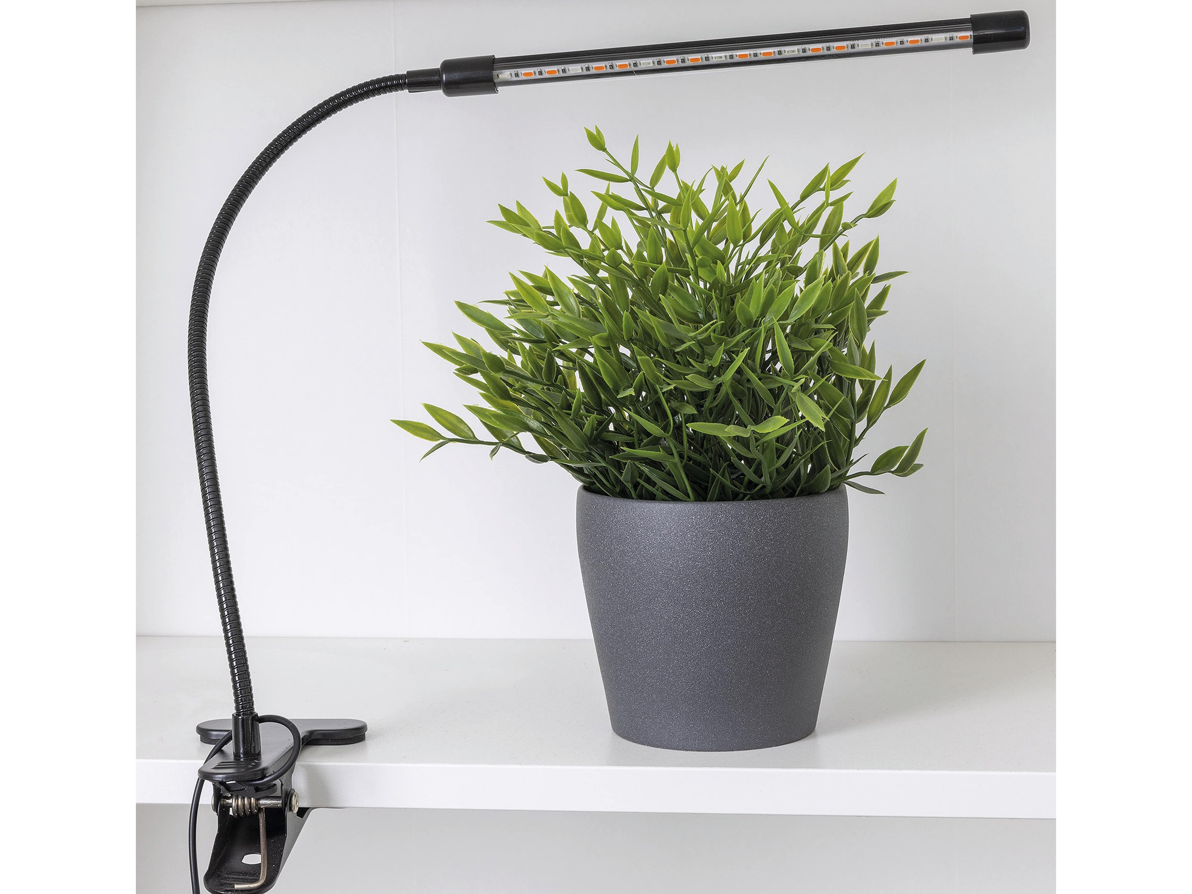 CHILITEC LED-Pflanzenlampe CT-PFL, Rot+Blau, 1-fach, mit Klemmhalter CHILITEC LED-Pflanzenlampe CT-PFL, Rot+Blau, 1-fach, mit Klemmhalter