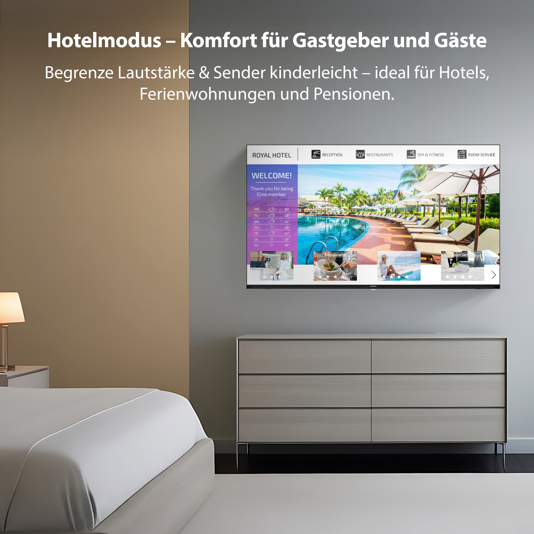 DYON LED-TV Enter 24 Pro-X-V, 24" (60 cm), HD, 12 V Anschlusskabel