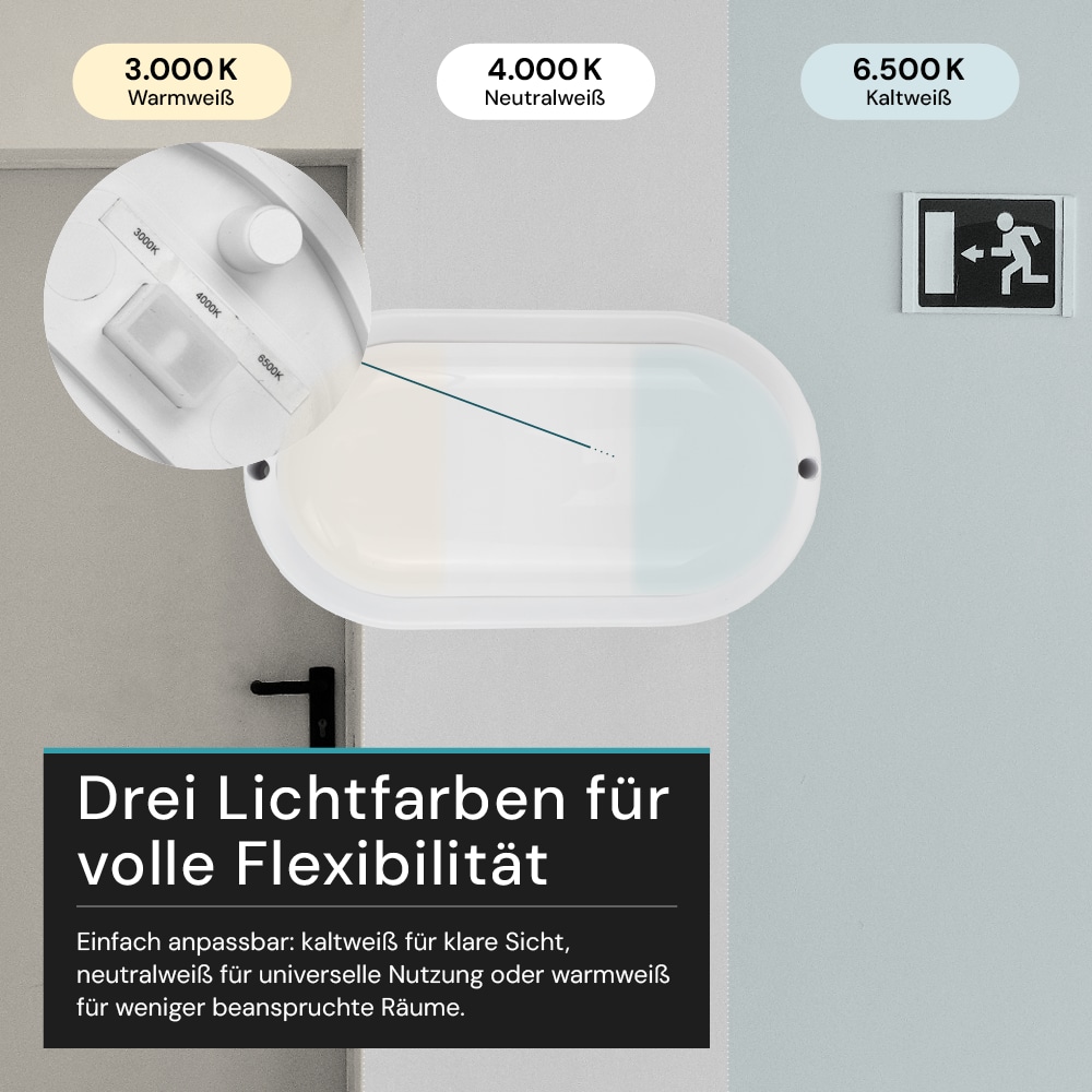 LUXULA LED-Kellerleuchte, 12W, EEK: F, 1080lm, CCT, IP54, weiß