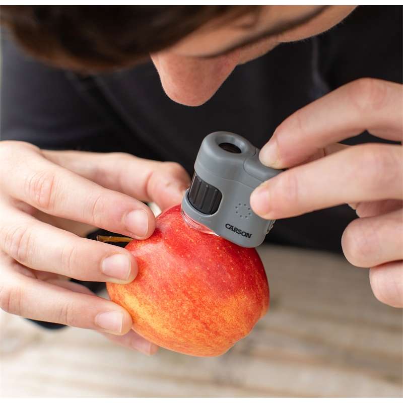 CARSON Taschenmikroskop MM-380 MicroMini, 20x Vergrößerung, LED- und UV-Beleuchtung, Smartphone-Adapter