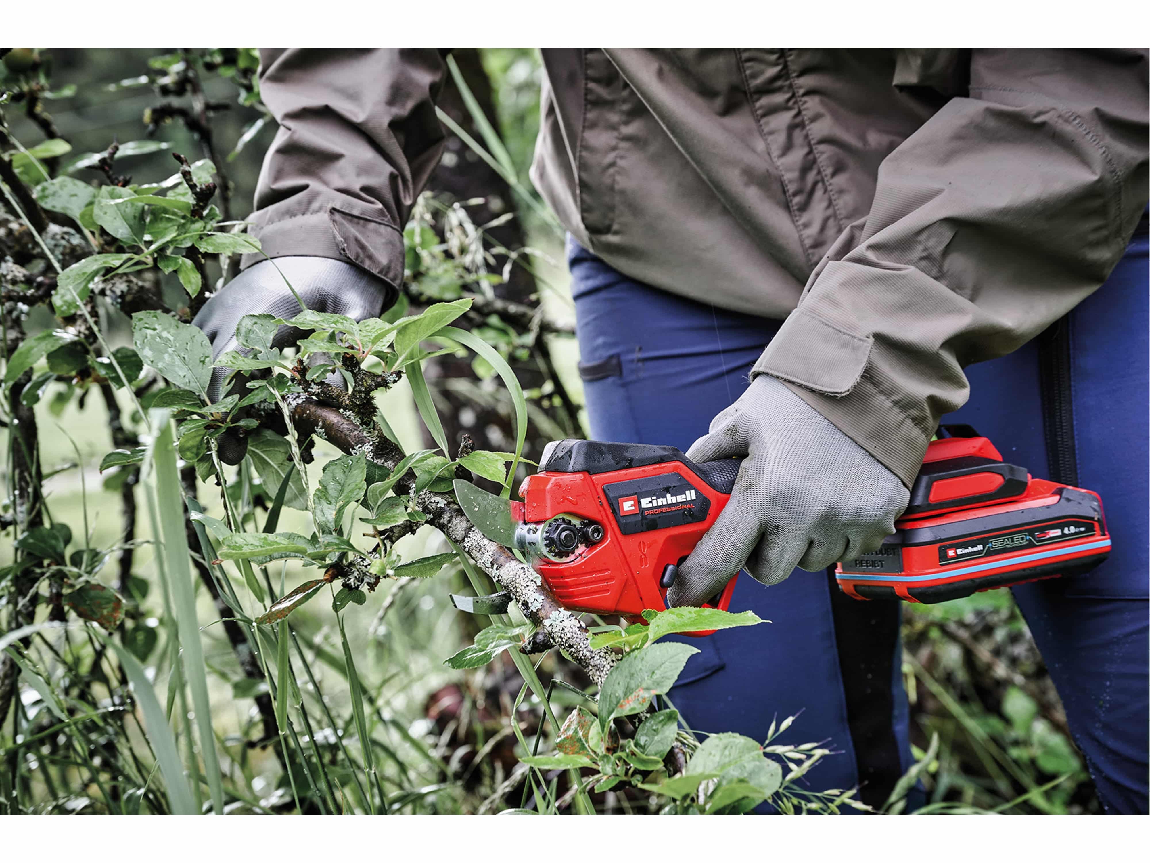 EINHELL PROFESSIONAL Akku-Astschere GP-LS 18/28 Li T BL, Solo