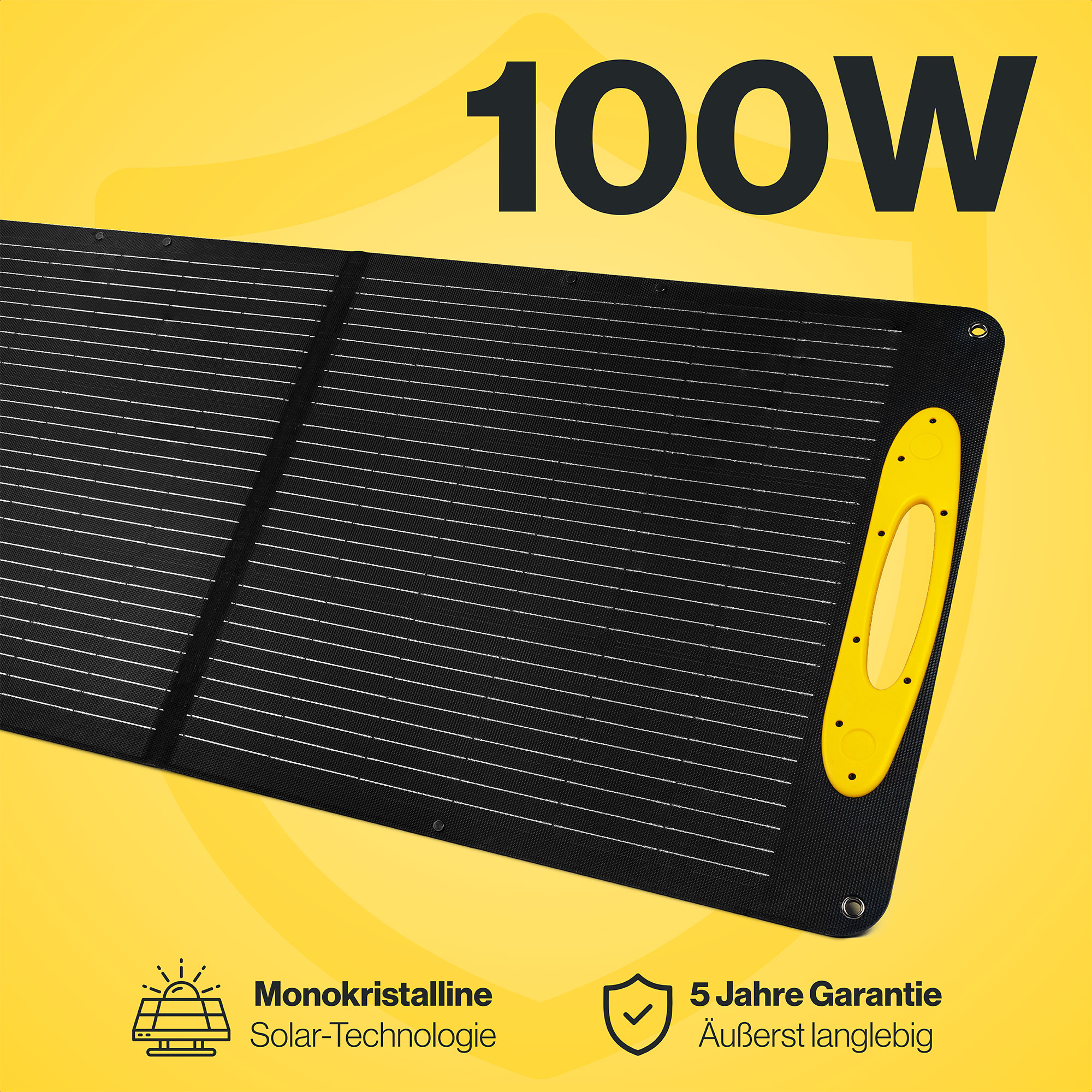 AQIILA Solarpanel Sunbird P100, 100 W, schwarz