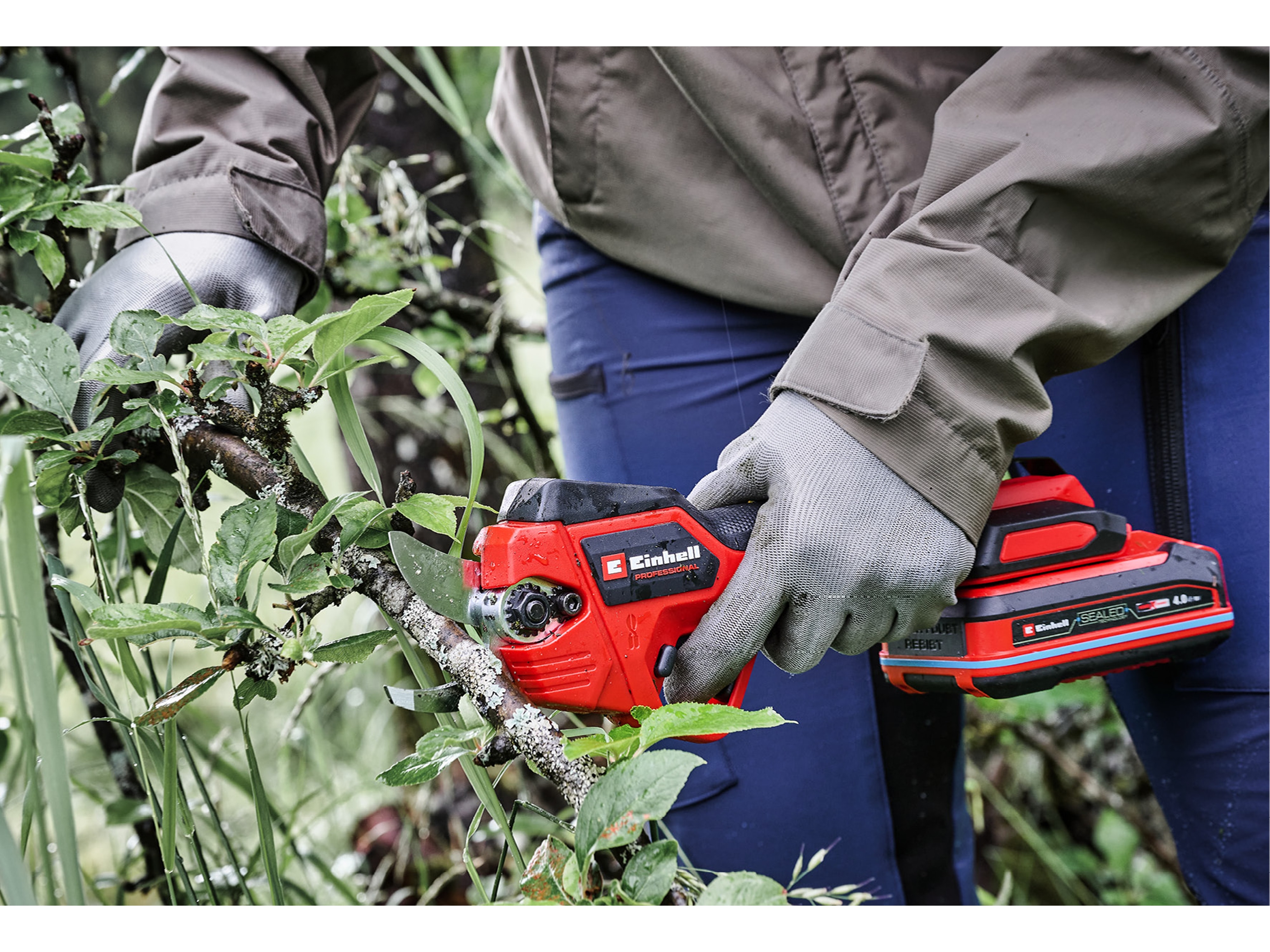 EINHELL PROFESSIONAL Akku-Astschere GP-LS 18/28 Li BL Kit (1x 4,0 Ah)