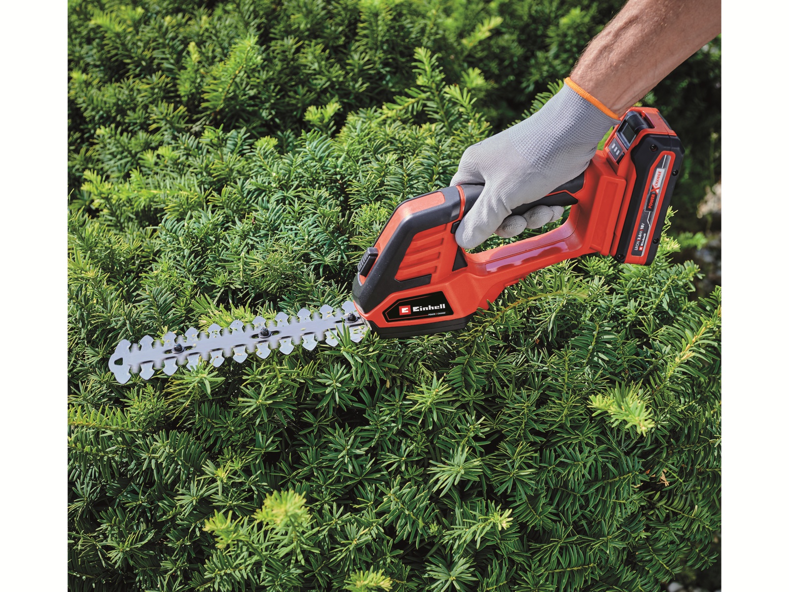 EINHELL Akku-Gras- und Strauchschere GE-CG 18/100 Li T + Starterset EINHELL Akku-Gras- und Strauchschere GE-CG 18/100 Li T + Starterset
