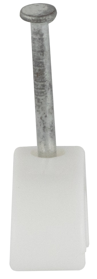 REV Nagelschelle mit Nagel, 7... 11 mm, weiß, 200 Stück REV Nagelschelle mit Nagel, 7... 11 mm, weiß, 200 Stück