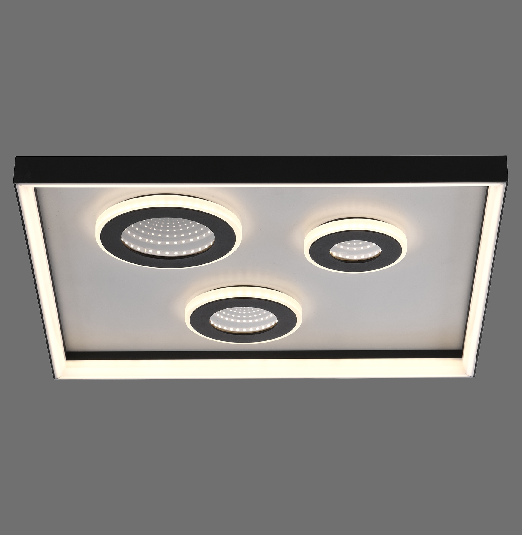 PAUL NEUHAUS LED-Deckenleuchte 6856-18 schwarz, 32 W, 4000 lm, CCT, Fernbedienung