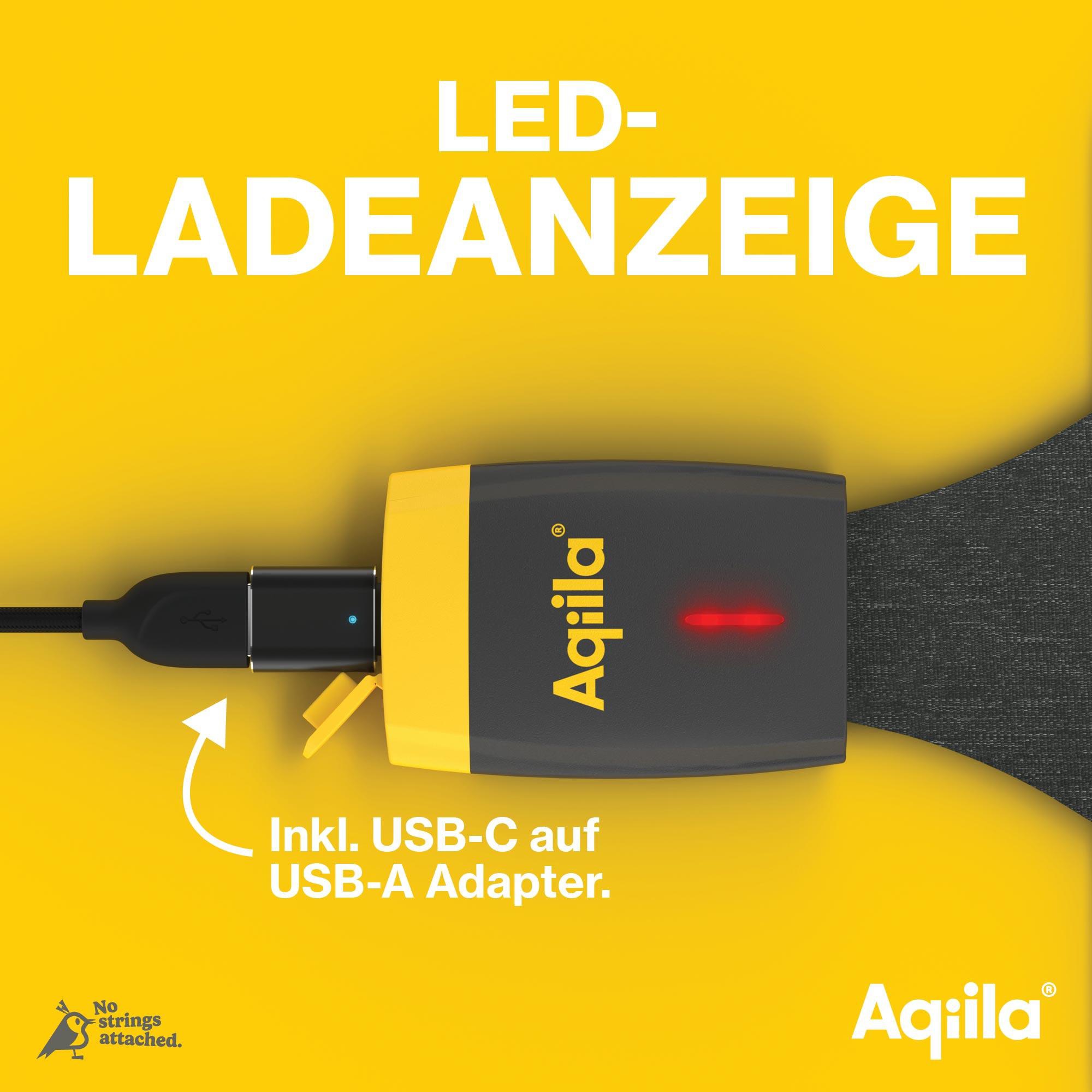 AQIILA Solarpanel Sunbird P21, 21 W, USB-C, schwarz