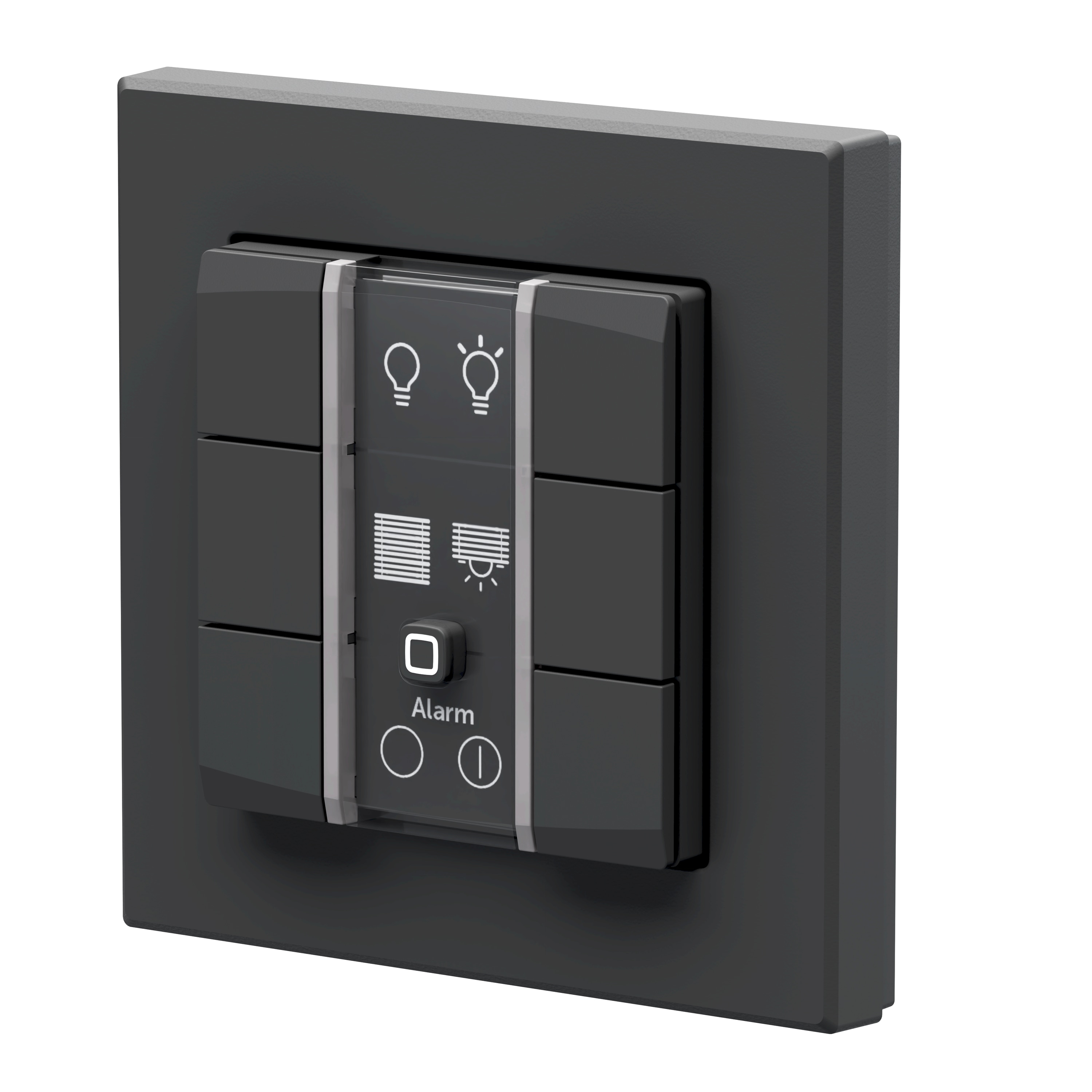 HOMEMATIC IP 162028A0, Wandtaster, 6-fach, 230 V, anthrazit