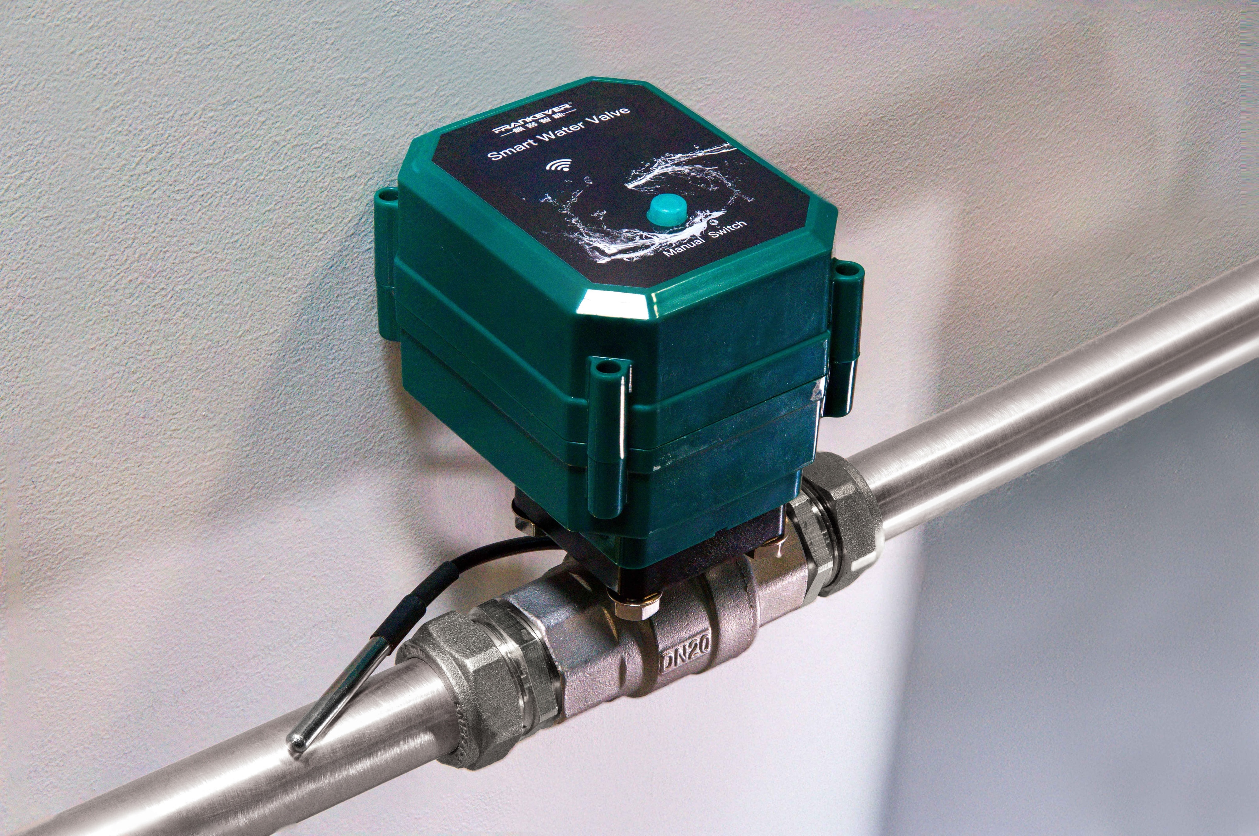 FRANKEVER Wasserventil Smart Water Valve DN25, grün/schwarz