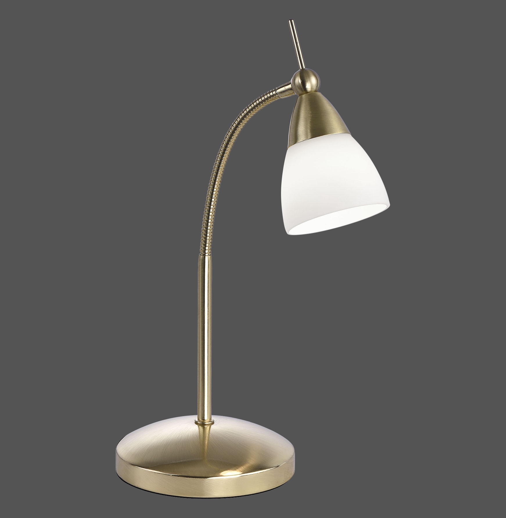 PAUL NEUHAUS LED-Tischleuchte 4001-60 messing-matt, 2,6 W, 265 lm, 3000 K