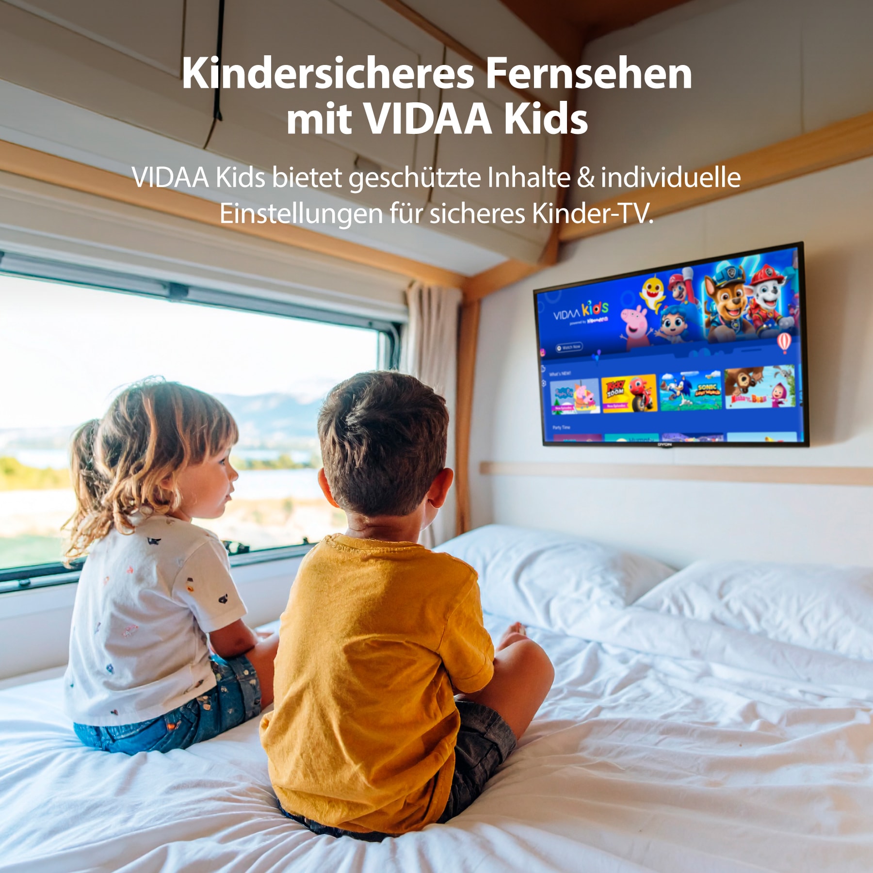 DYON Smart-TV 24VX-VHD, 24" (60cm), HD, 12 V Anschlusskabel