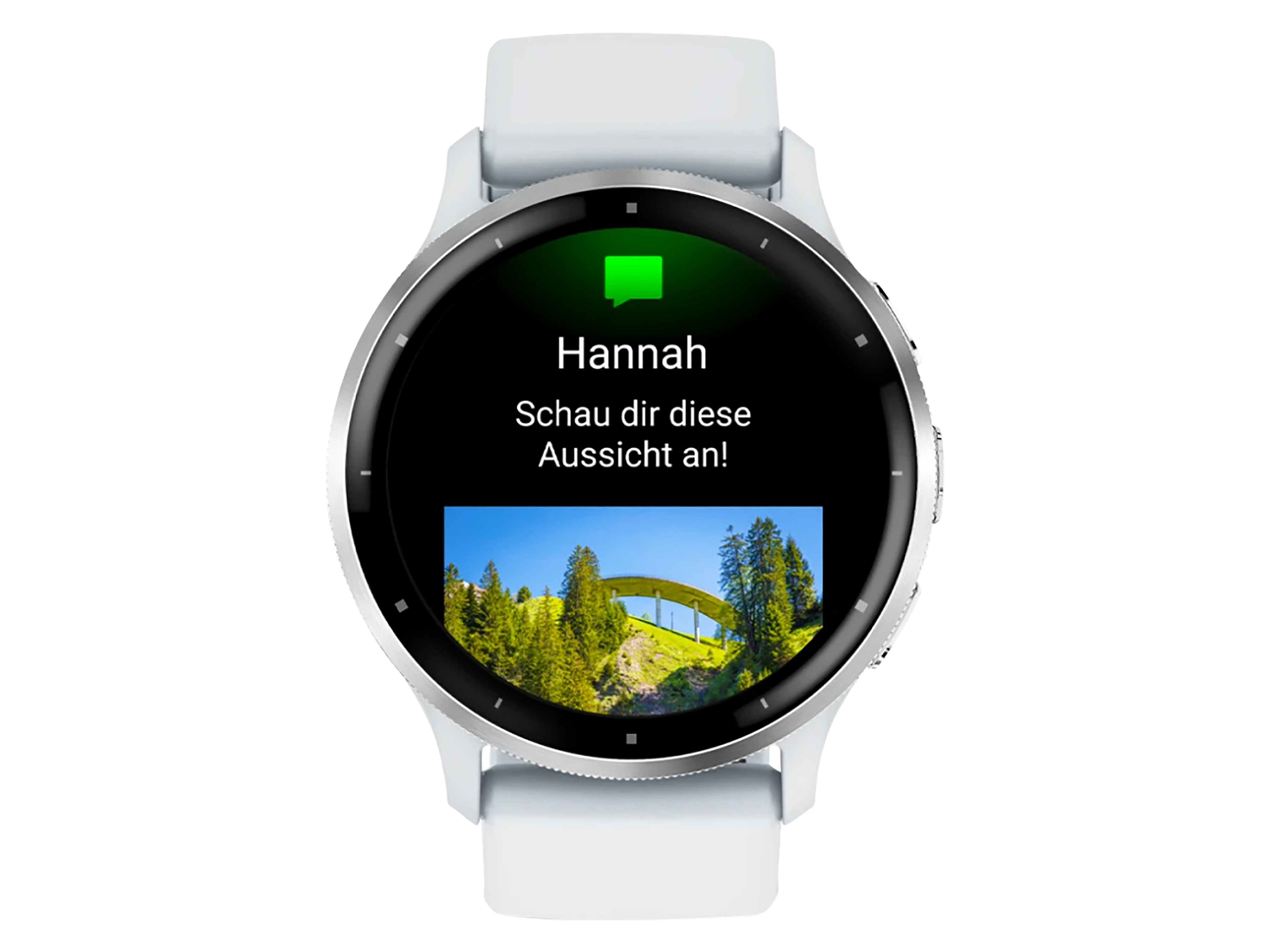 GARMIN Smartwatch Venu 3 steinweiss/silber Silikon