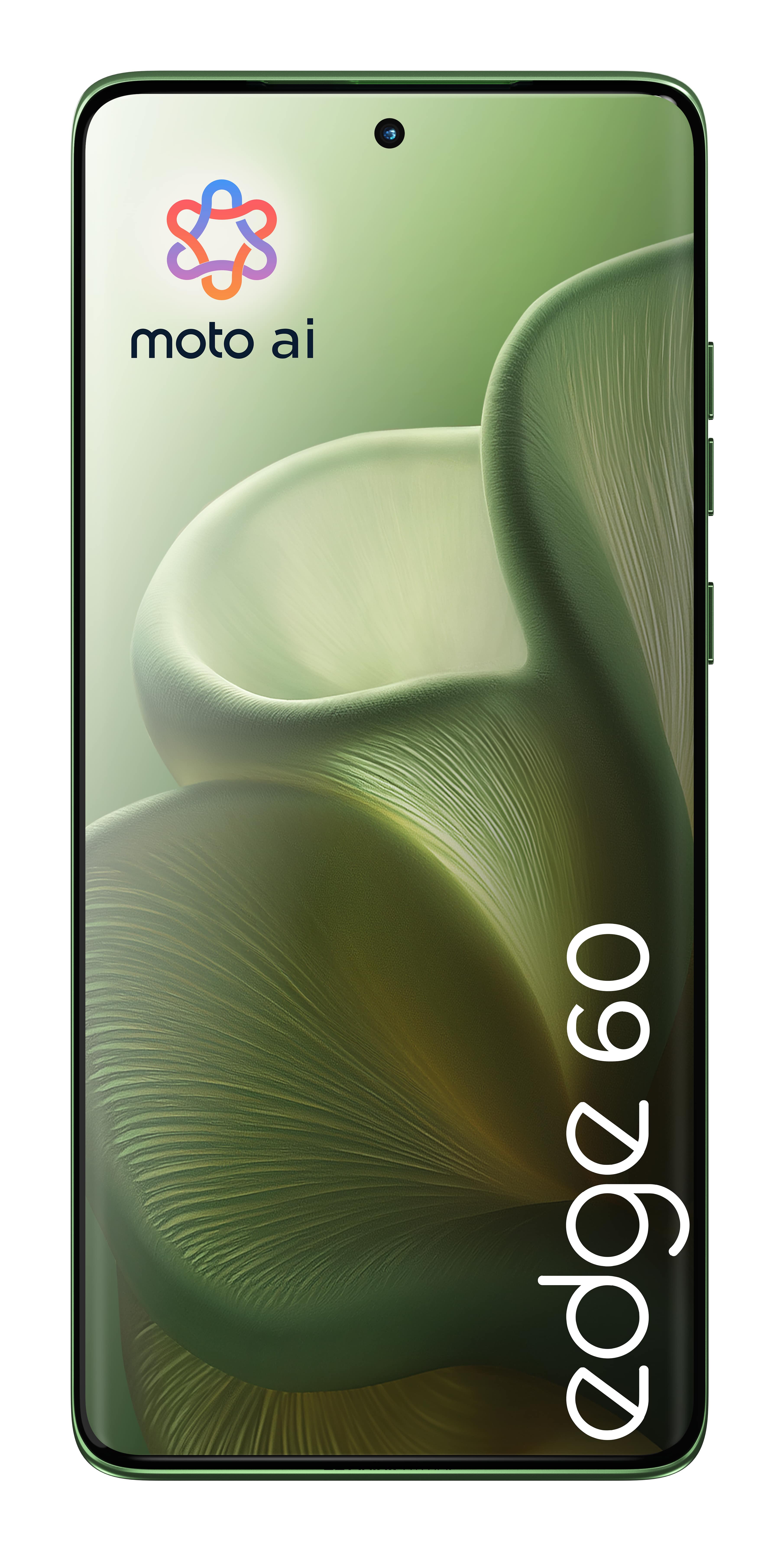 MOTOROLA Smartphone Edge 60 5G 512GB shamrock