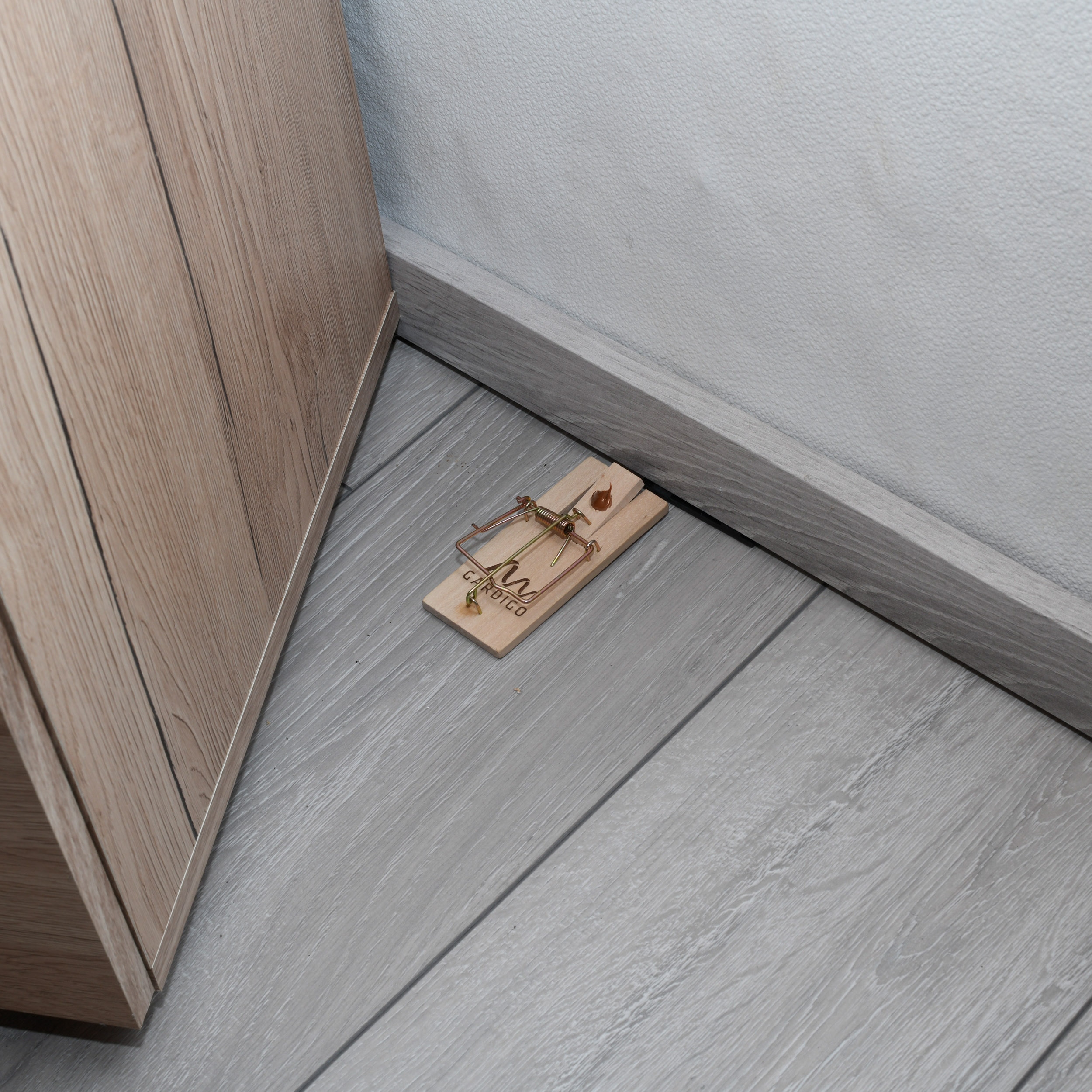GARDIGO Mausefalle, Holz, 2 Stück