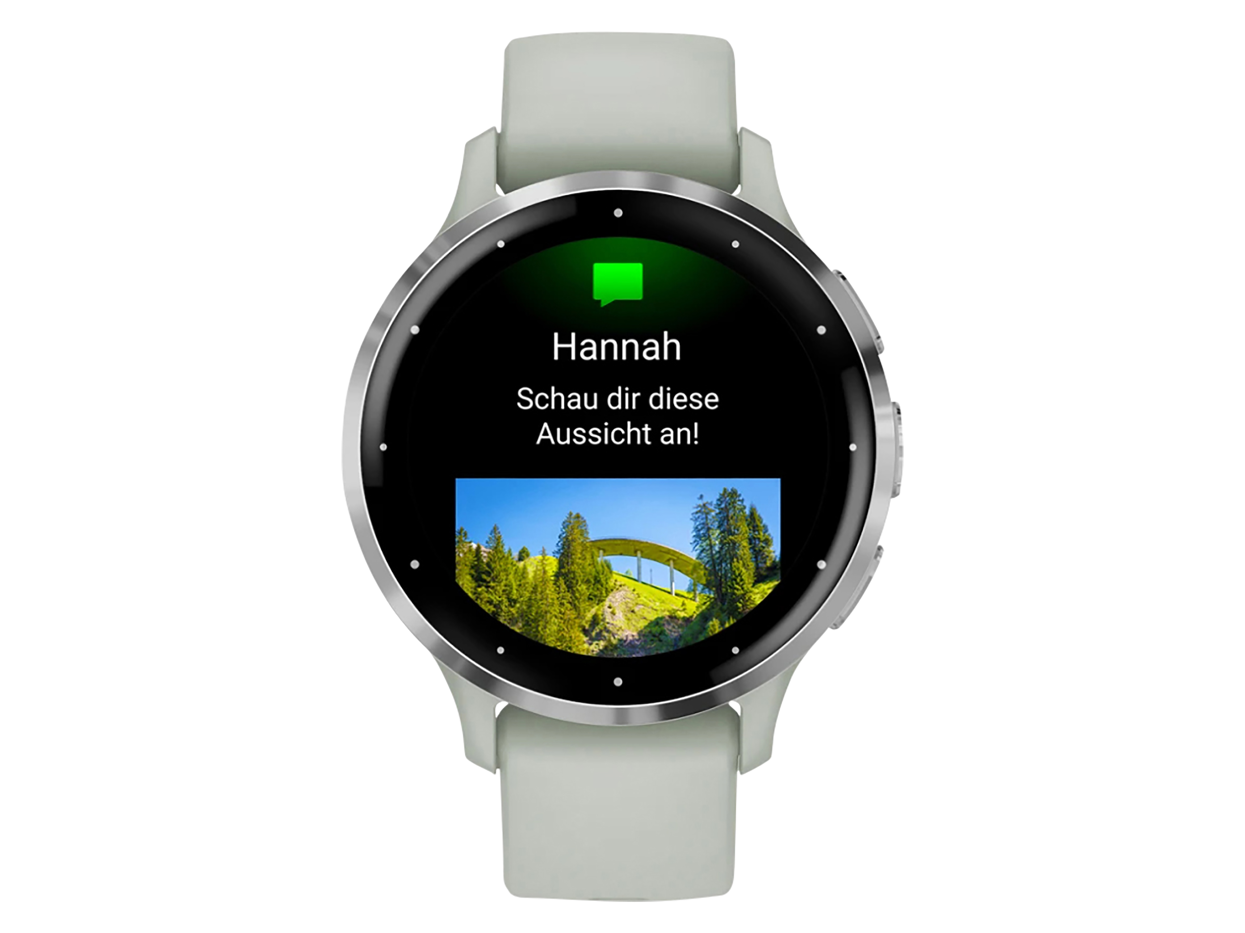 GARMIN Smartwatch Venu 3S salbeigrau/silber Silikon GARMIN Smartwatch Venu 3S salbeigrau/silber Silikon