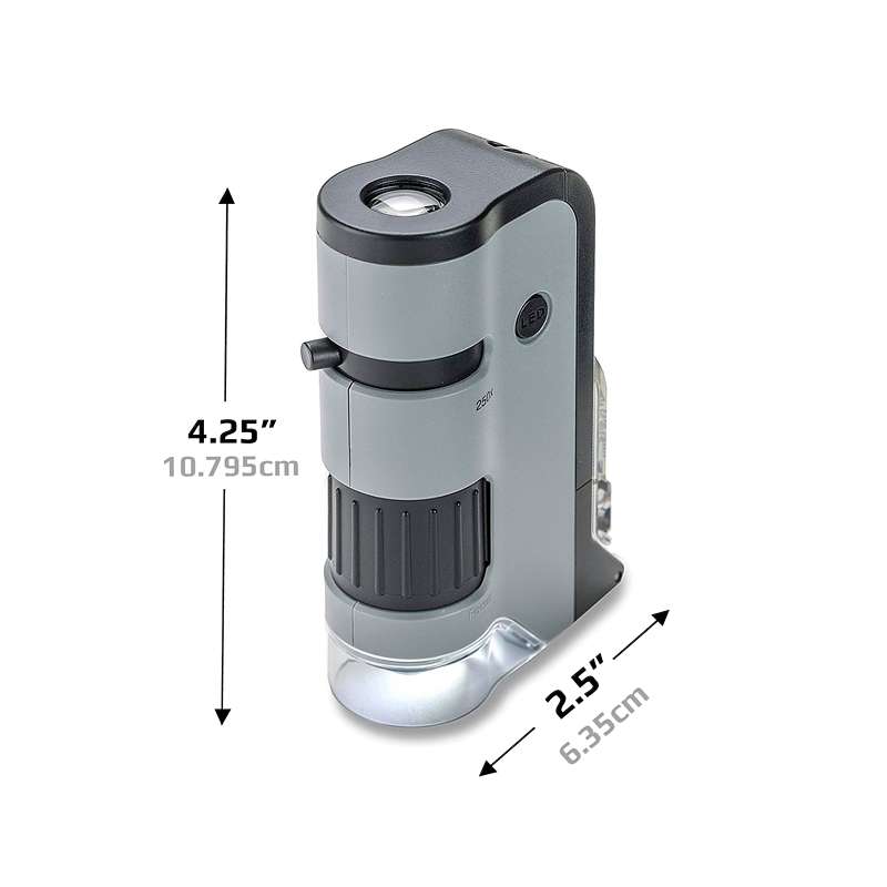 CARSON Mikroskop MicroFlip MP-250, 250x, Digital