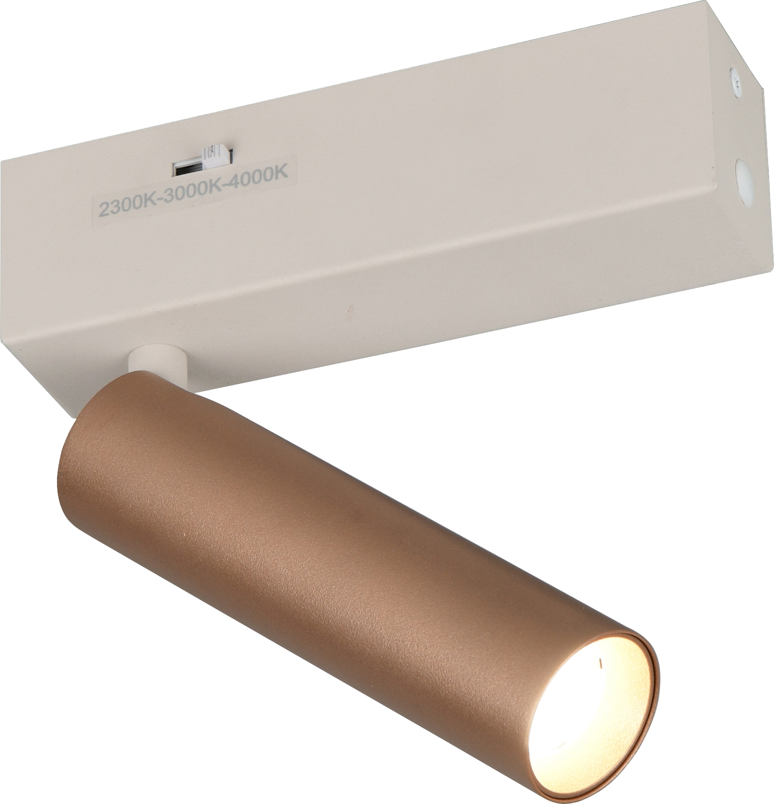 TRIO LED-Spotleuchte AMBALA, 849210165, 5 W, 500 lm, coffee