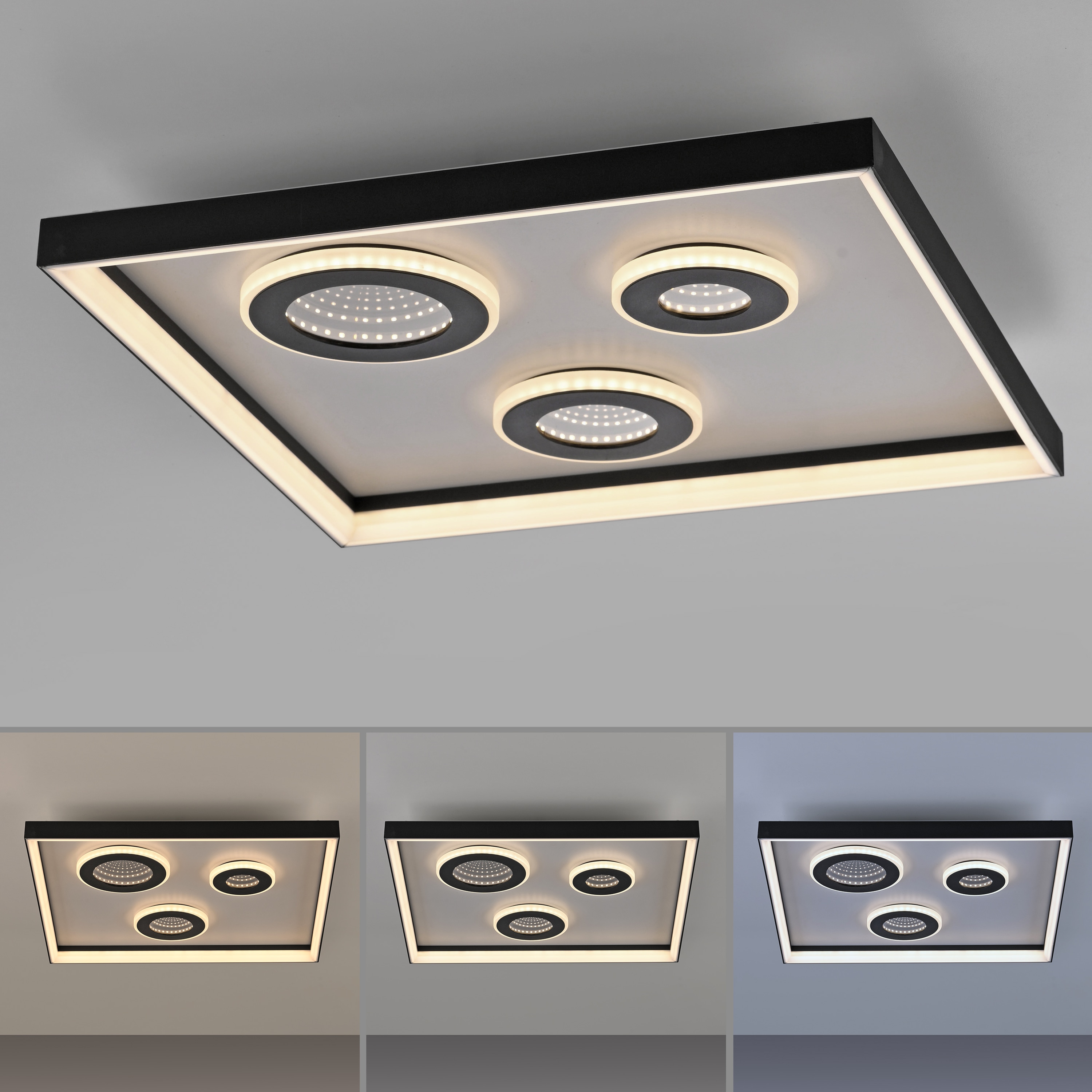 PAUL NEUHAUS LED-Deckenleuchte 6856-18 schwarz, 32 W, 4000 lm, CCT, Fernbedienung