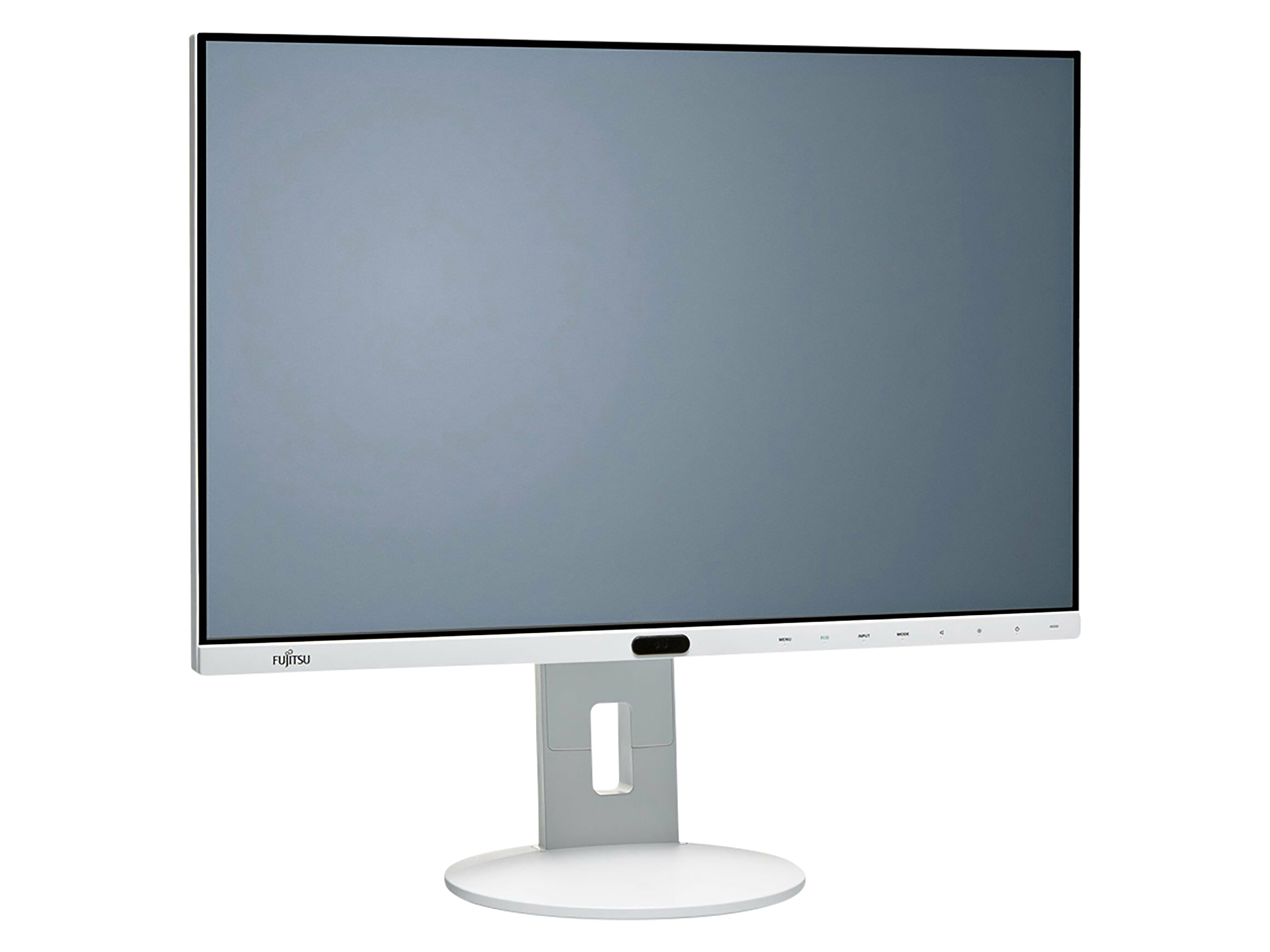 FUJITSU Monitor P24-8 WE Neo, 61 cm (24"), refurbished