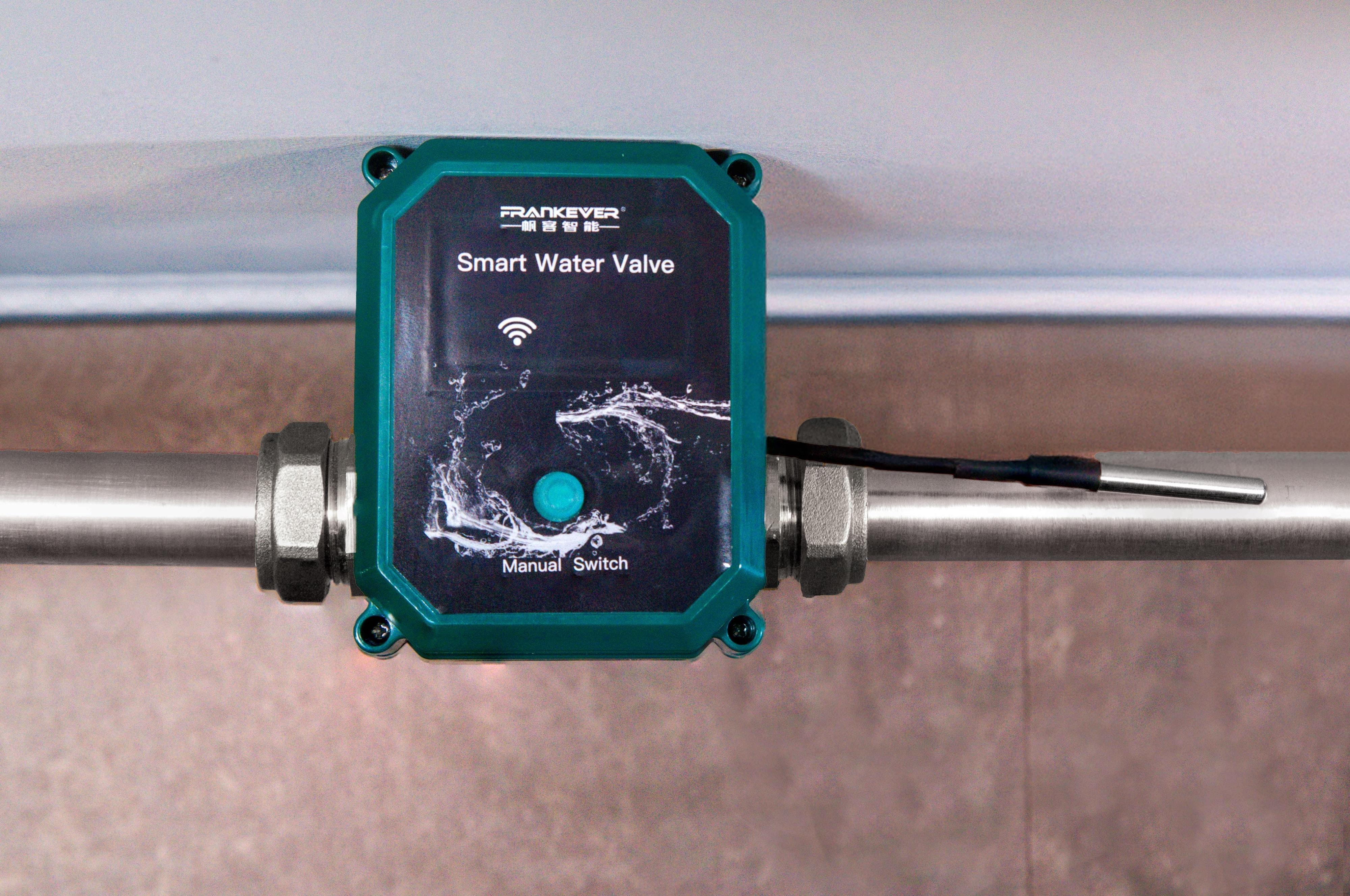 FRANKEVER Wasserventil Smart Water Valve DN25, grün/schwarz
