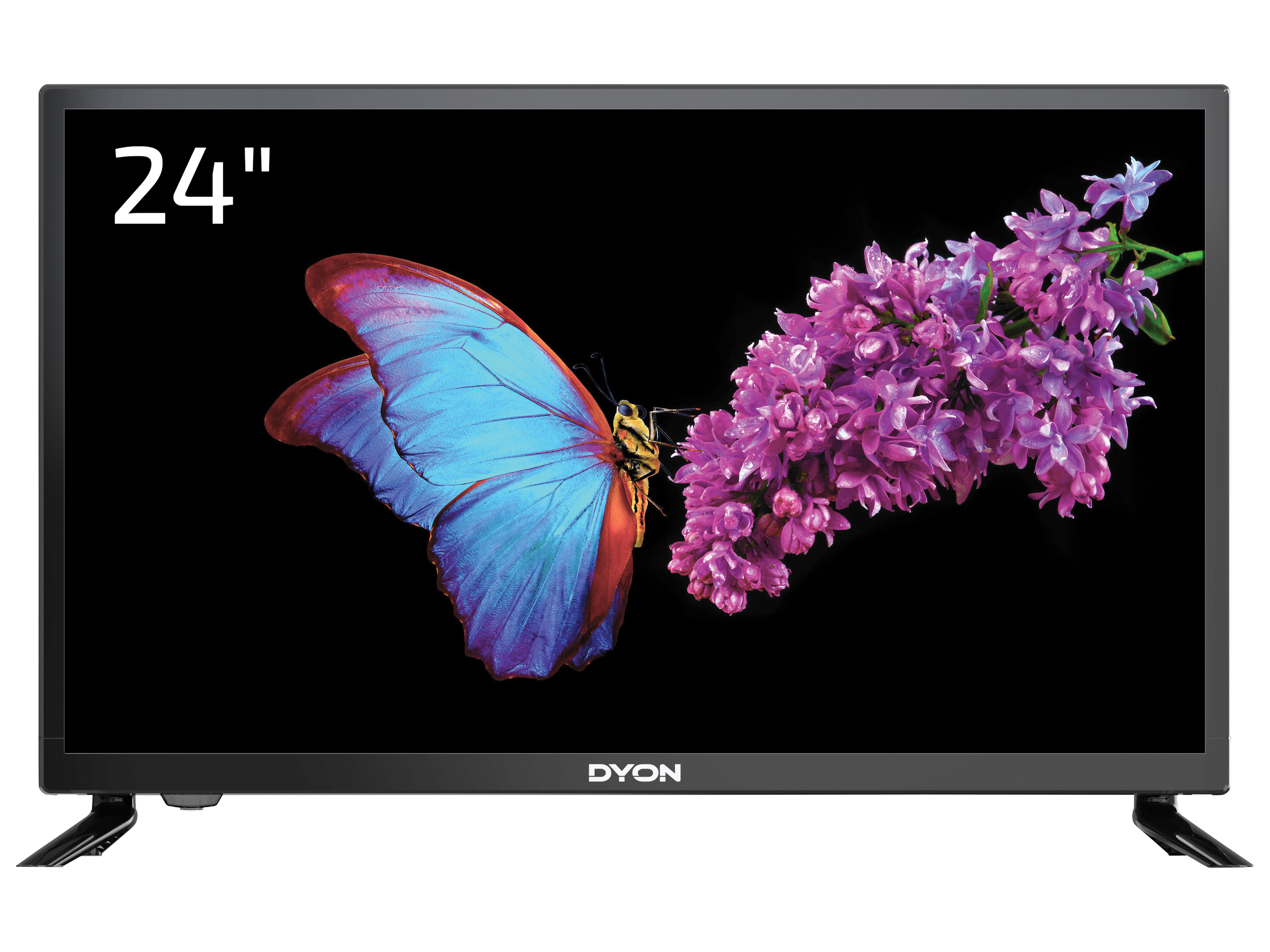 DYON LED-TV Enter 24 Pro X2, 60 cm (24"), HD, EEK F