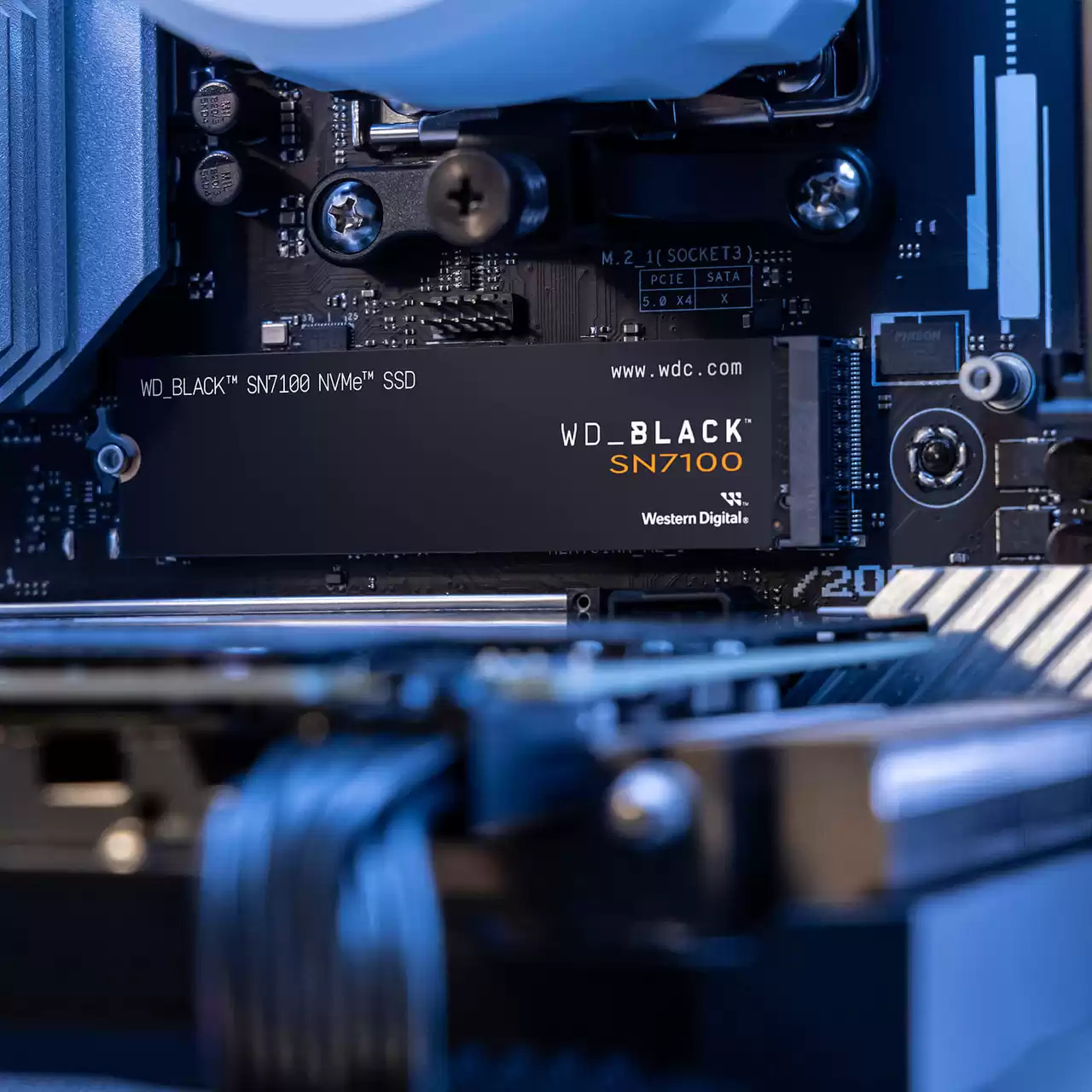 WESTERN DIGITAL M.2 SSD Black SN7100 500GB